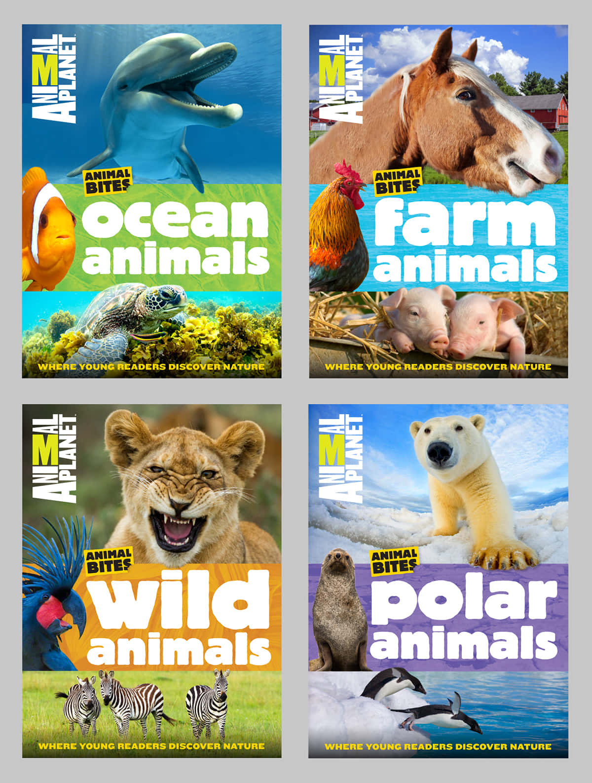 與 Animal Planet 一同探索奇妙的動物世界 壁紙 — 四個色彩繽紛的兒童書封面，展示海洋、農場、野生和極地動物，配有粗體文字和鮮豔圖像。