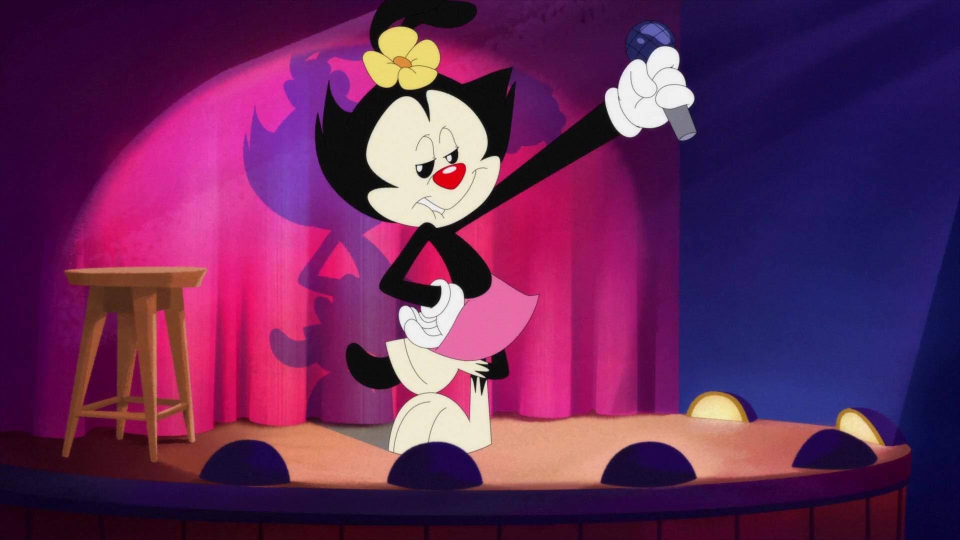 《Animaniacs》中的朵朵在璀璨聚光燈下 壁紙 — 一個卡通貓歌手，頭髮上戴著一朵黃花，在粉紅色聚光燈下拿著麥克風在舞台上表演。