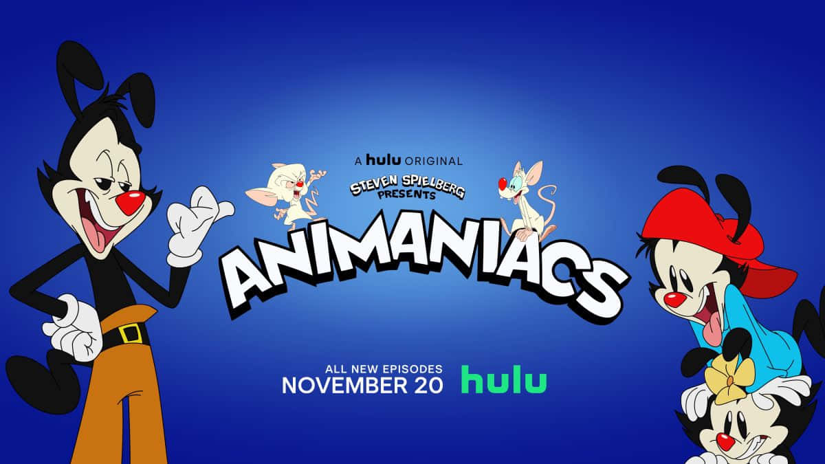 《Animaniacs》卡通角色與節目名稱及 Hulu 發行資訊，背景為藍色。