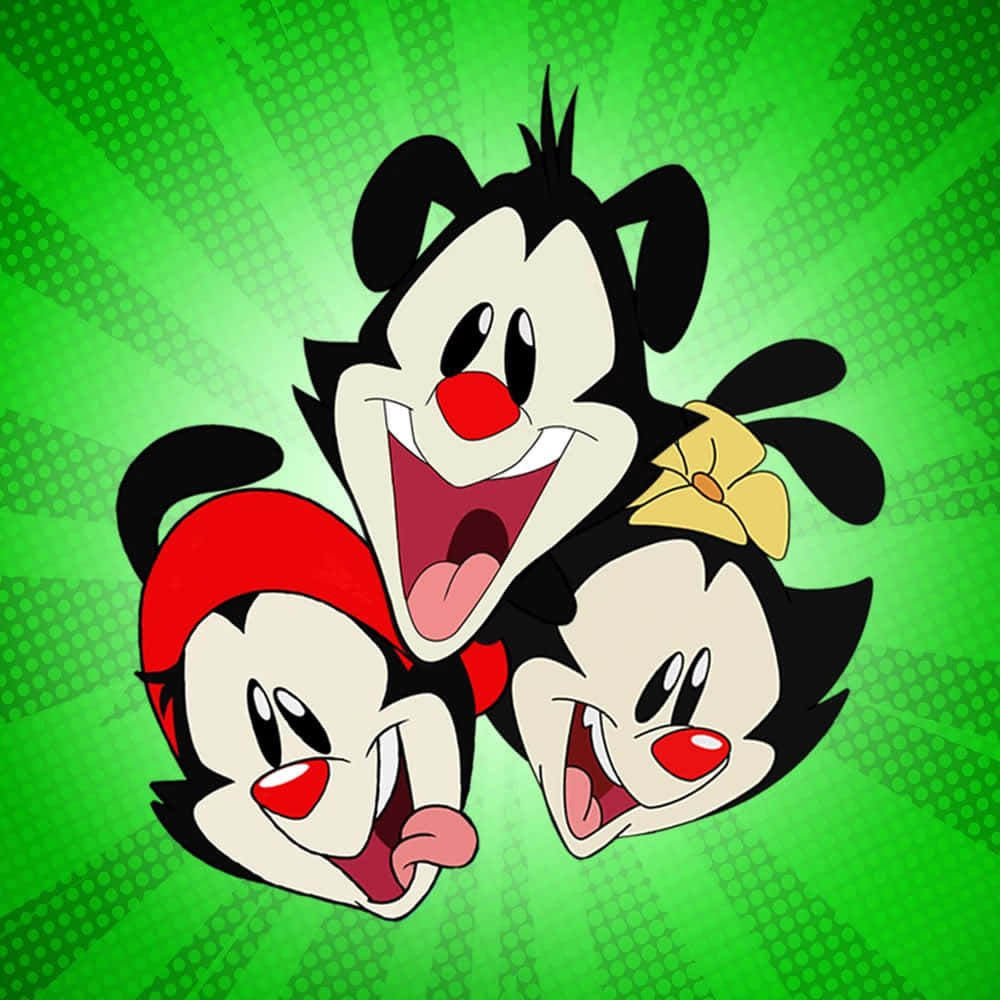《Animaniacs》回來了——教育與娛樂並行 壁紙 — 三個紅鼻子、咧嘴大笑的卡通角色從帶有圓點圖案的鮮綠色放射狀背景中迸發出來。