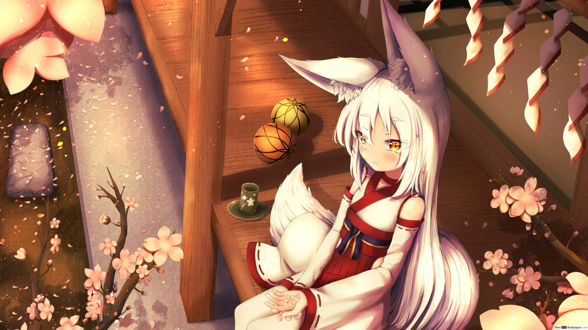 壁紙 — 一位白髮動漫狐女穿著紅白和服坐在木樓梯上，周圍有飄落的櫻花和燈籠。