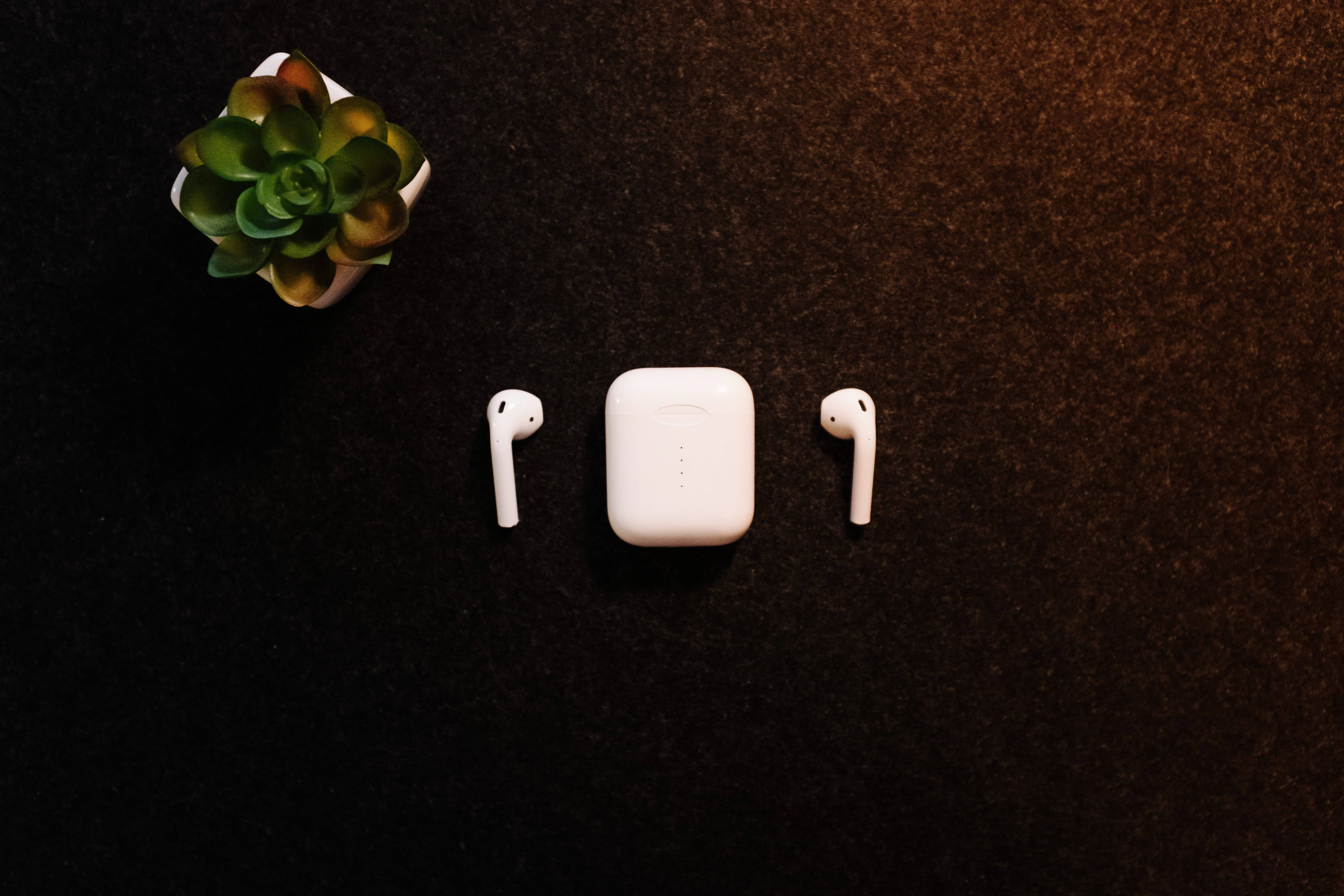 Apple AirPods 與時尚多肉植物 壁紙 — 白色無線耳機及充電盒放在深色紋理表面上，旁邊有一小盆多肉植物。