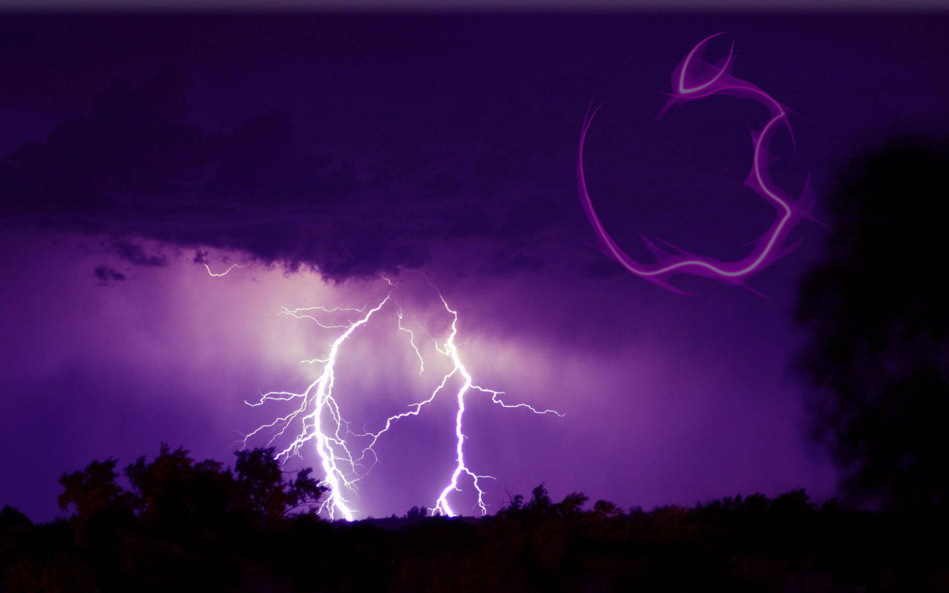 紫色暴風雨天空，明亮的閃電在夜間擊中黑暗的樹木。
