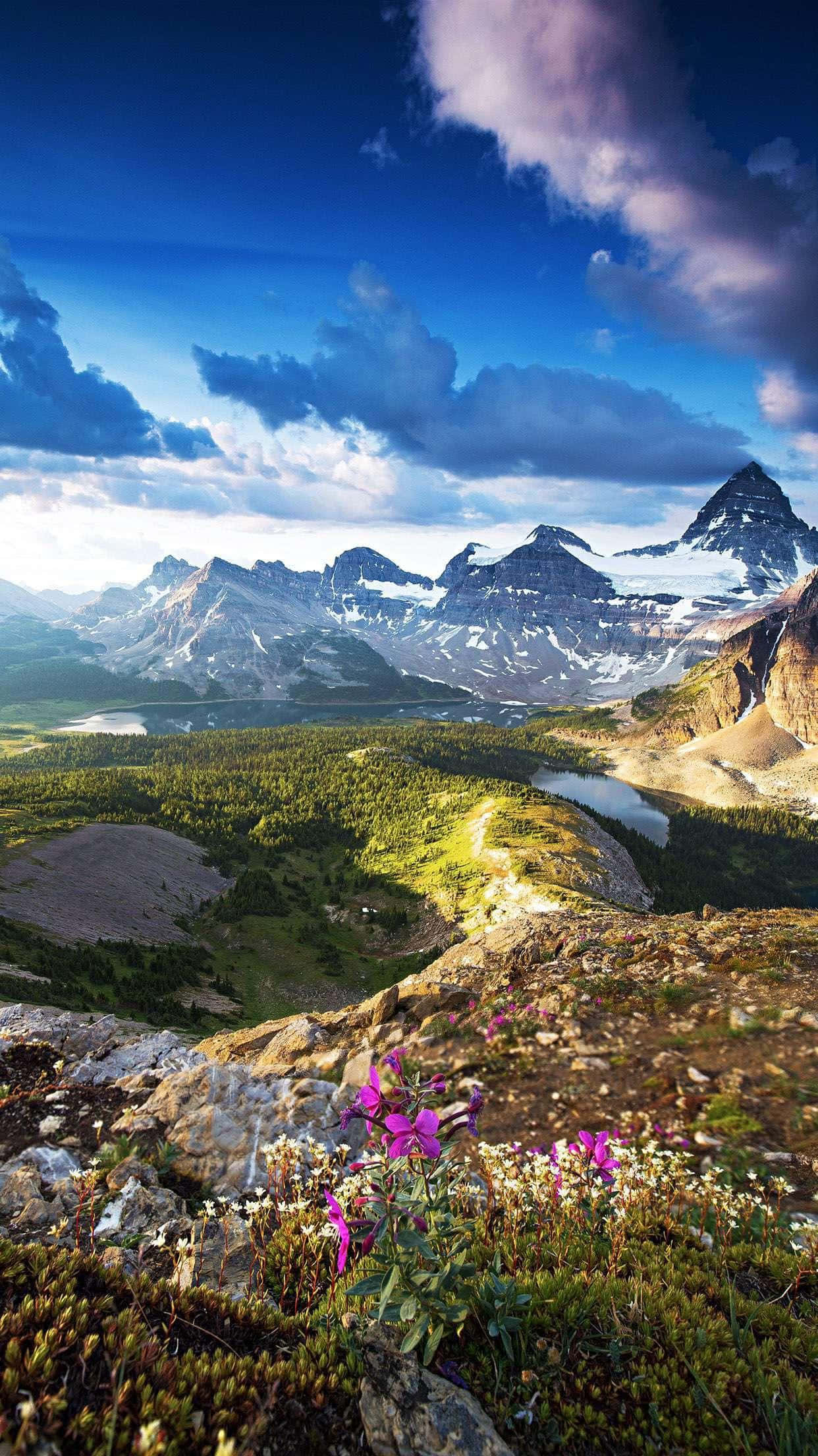 Apple iPhone Xs Max — 簡約時尚，強勁性能 壁紙 — 令人嘆為觀止的山景，白雪覆蓋的山峰、鬱鬱蔥蔥的綠色山谷，以及戲劇性藍天下充滿活力的紫色野花。