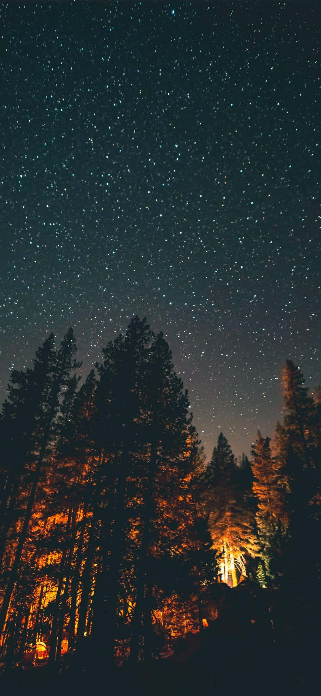 Apple iPhone XS Max 星空夜景 壁紙 — 星空夜空在森林上方拱起，樹木從下方看不見的火中散發出溫暖的光芒。