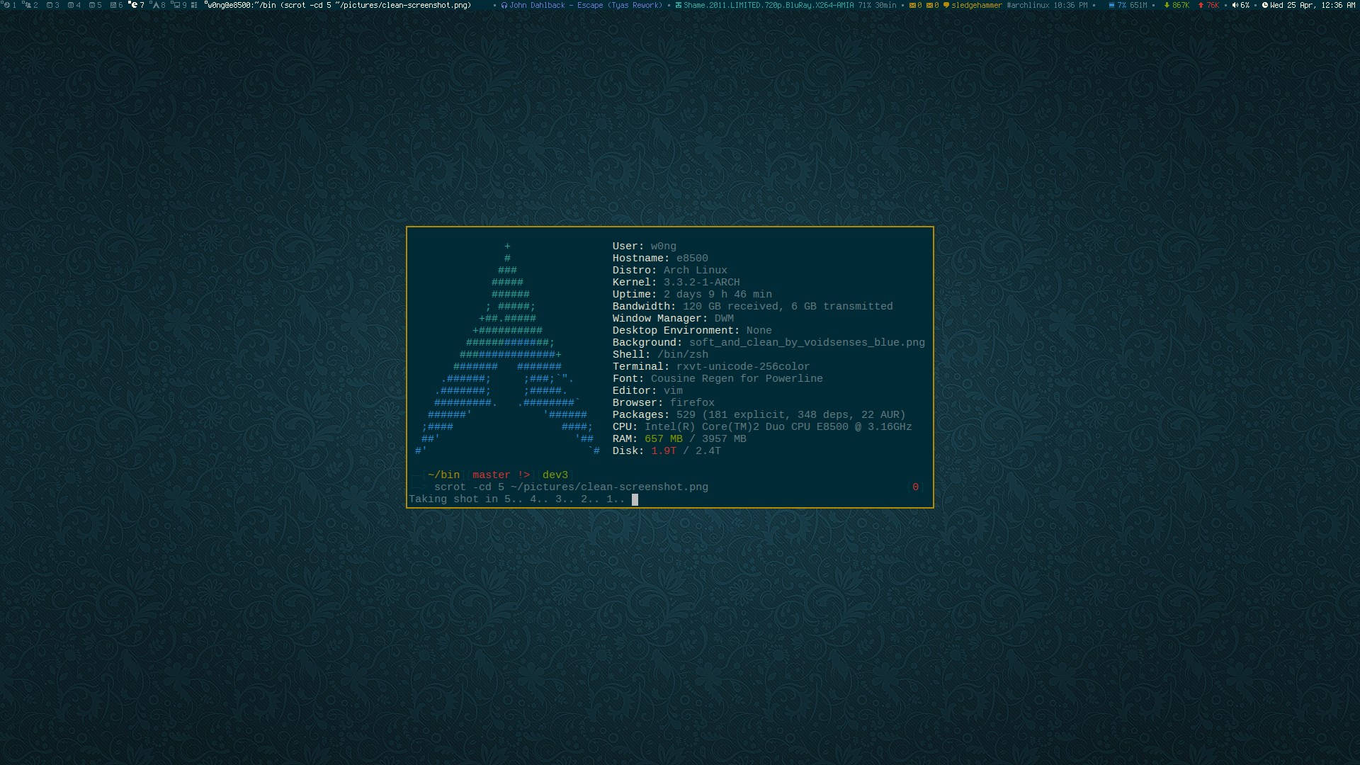 Linux 終端機在帶有幾何圖案的深青綠色桌面上顯示系統資訊。