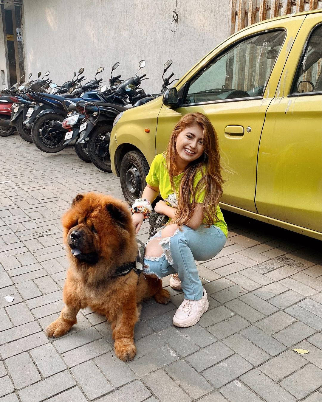 年輕女性在黃色汽車附近的城市人行道上與毛茸茸的鬆獅犬微笑。