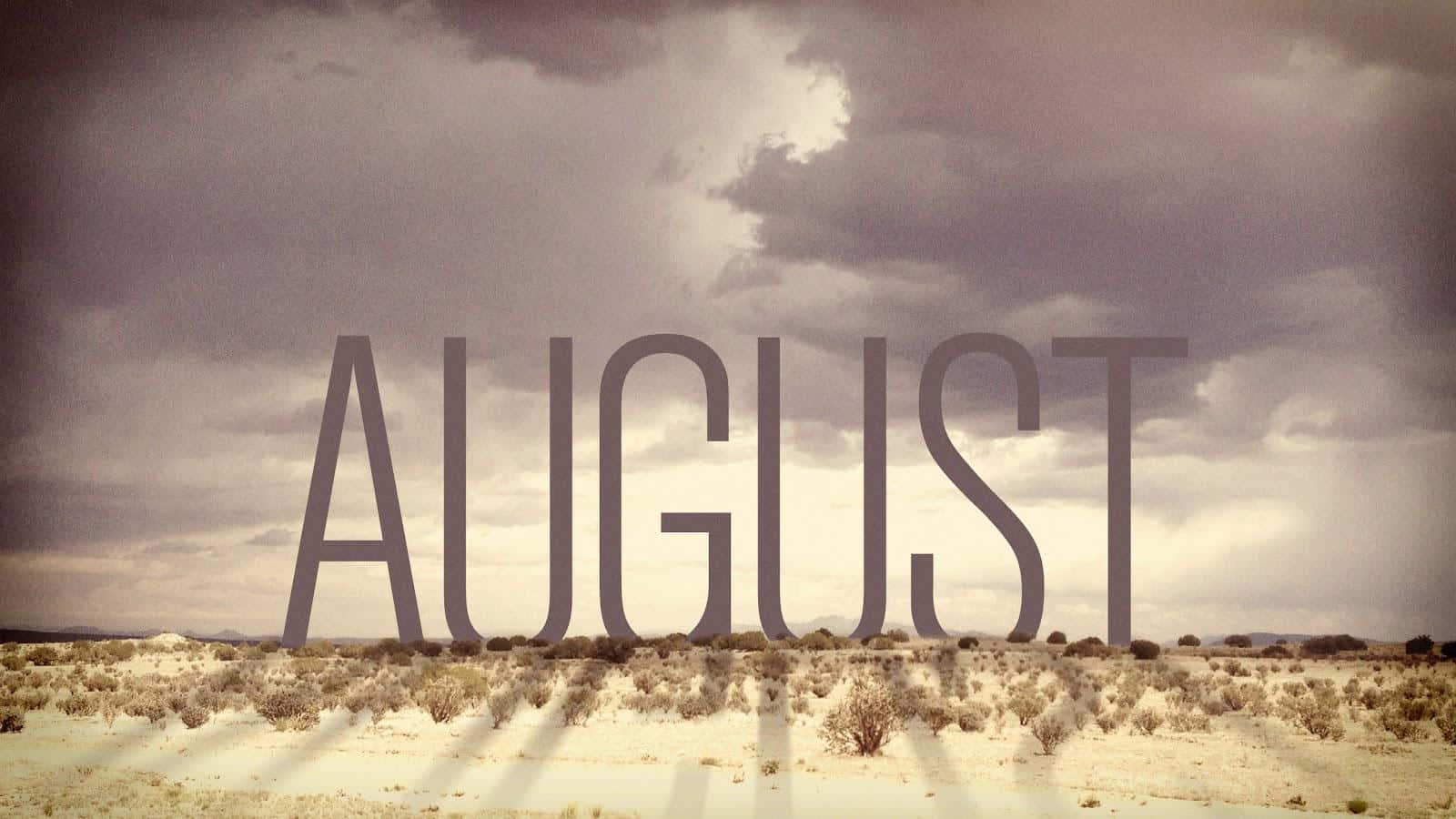 August 桌布 壁紙 — AUGUST 呢個字喺乾燥嘅沙漠景觀上面，喺陰暗多雲嘅天空下，散落嘅灌木叢中顯得巨大。