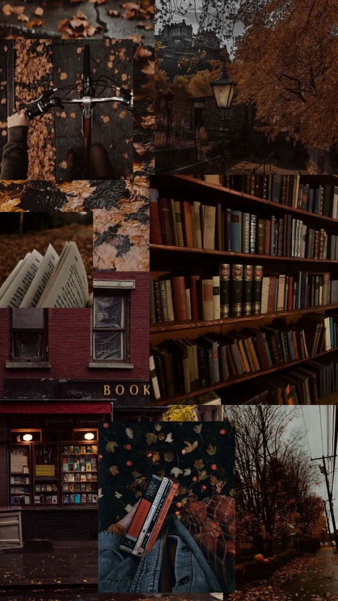 Dark Book Aesthetic 桌布 壁紙 — 一幅秋日場景的拼貼畫，包含書籍、單車和溫暖金色光線下的舒適街景。