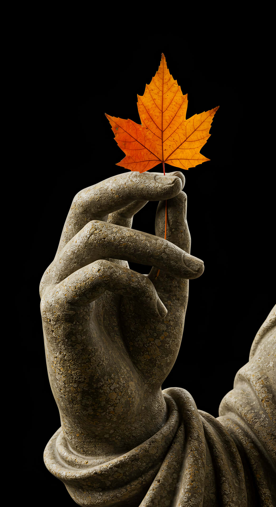 Autumn Leaf, Stone Hand 壁紙 — 一隻風化的石手輕輕托著一片鮮豔的橙色楓葉，背景是純黑色。