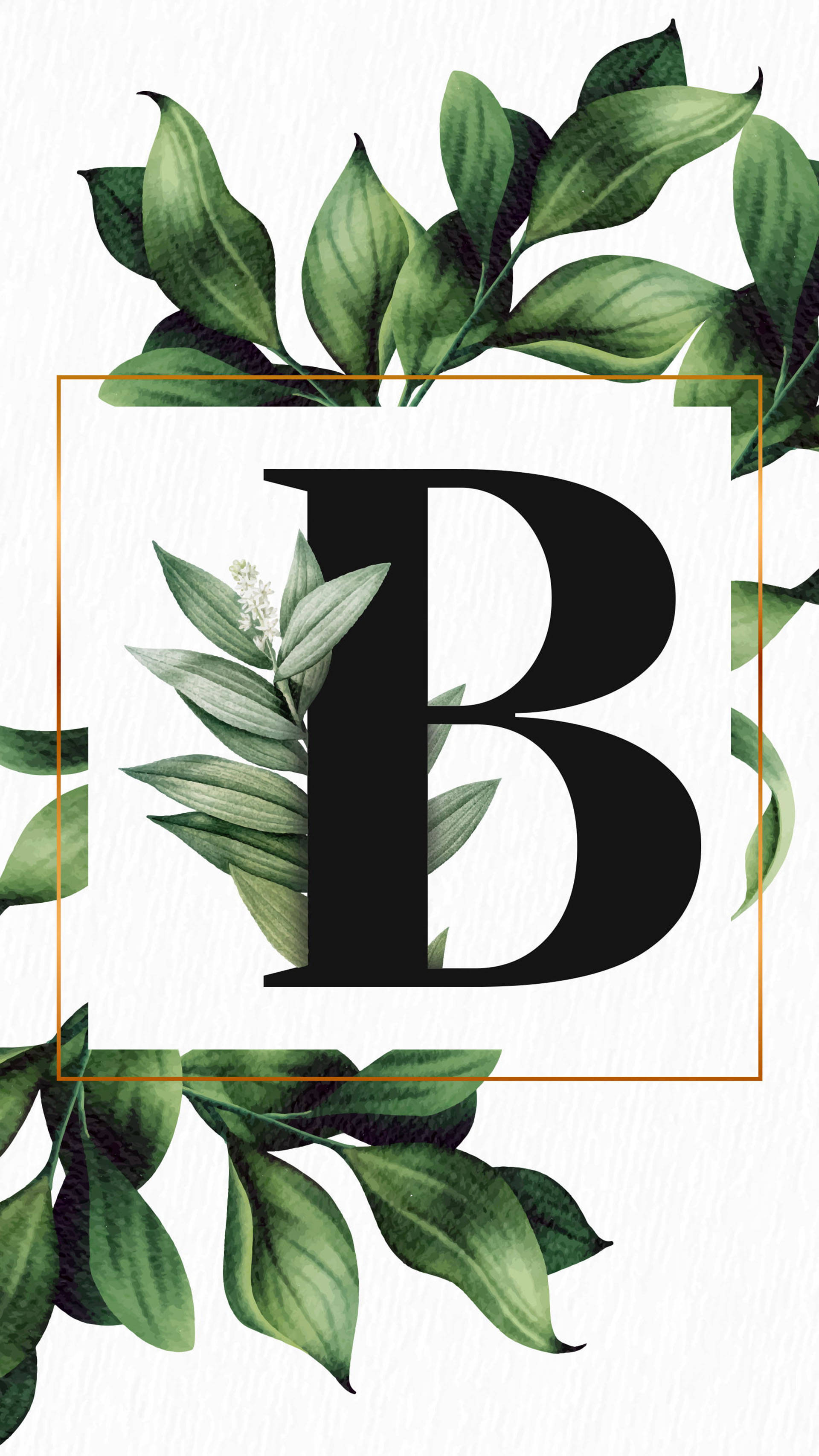 字母B葉片藝術 壁紙 — 一個粗體黑色字母B，被茂密的綠葉環繞，置於有紋理的白色背景上。
