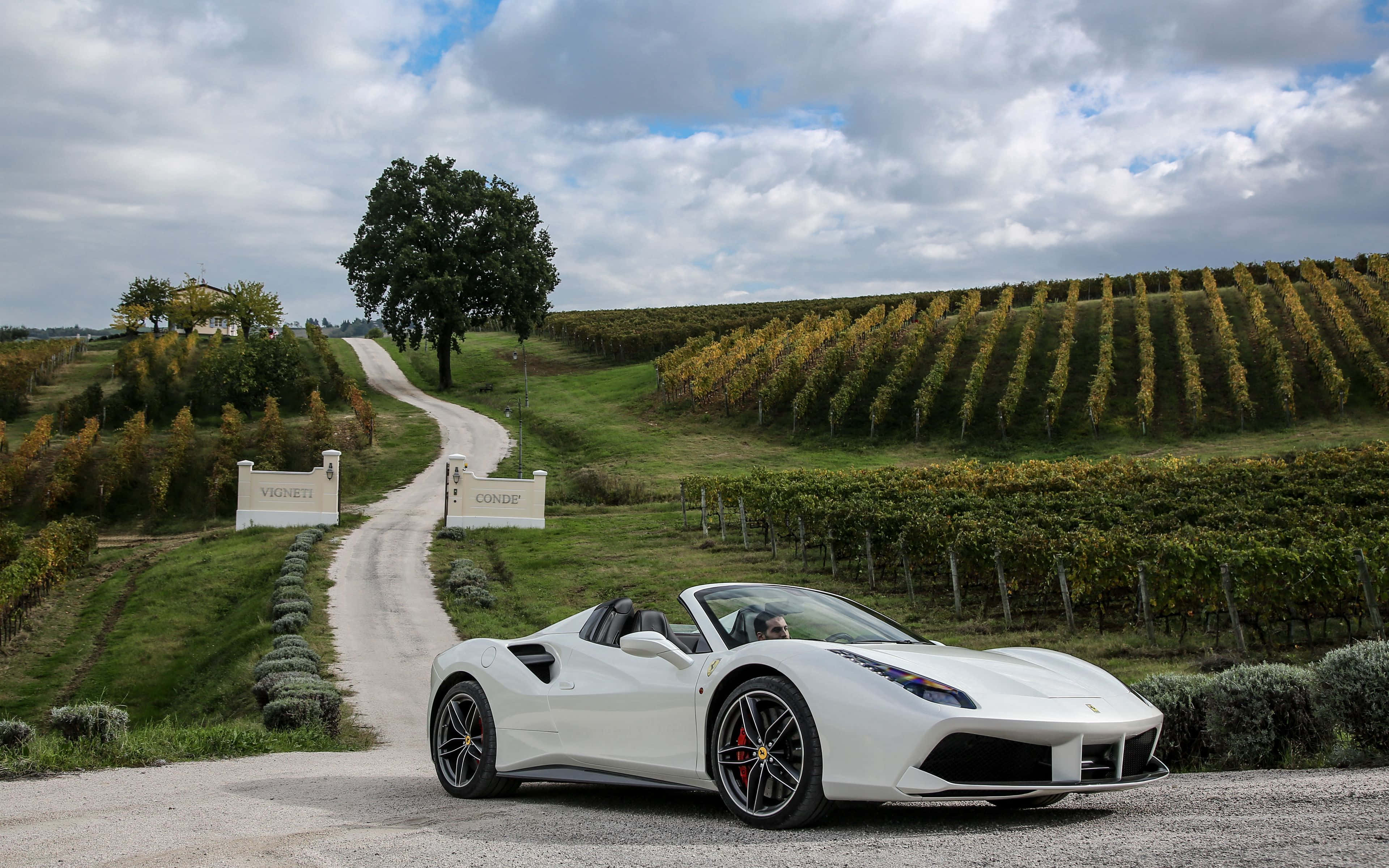 Ferrari 488 Spider 桌布 壁紙 — 一架純白色法拉利Spider停泊在蜿蜒穿過金色葡萄園的碎石路上，天空多雲。