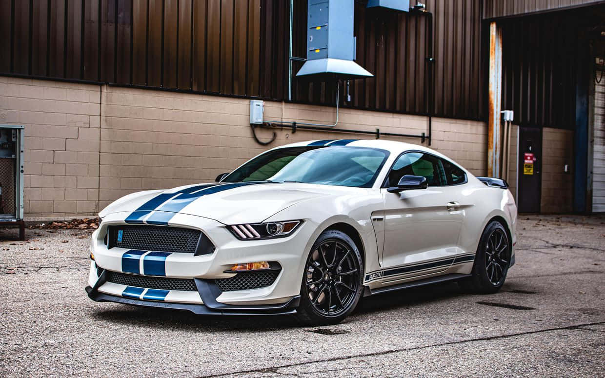 Ford Mustang California Special 桌布 壁紙 — 一架白色福特野馬Shelby GT350R帶有藍色賽車條紋，停在倉庫前的礫石上。