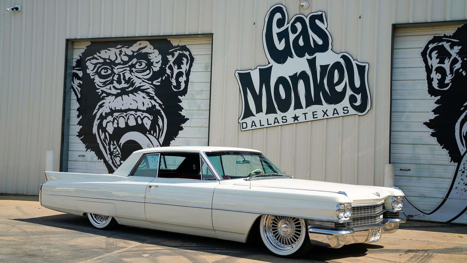 Cadillac Deville 桌布 壁紙 — 一輛純白色的經典凱迪拉克轎車在明亮的陽光下閃閃發光，停在一棟裝飾著大膽黑白猴子壁畫和「Gas Monkey Dallas Texas」標誌的建築物前。