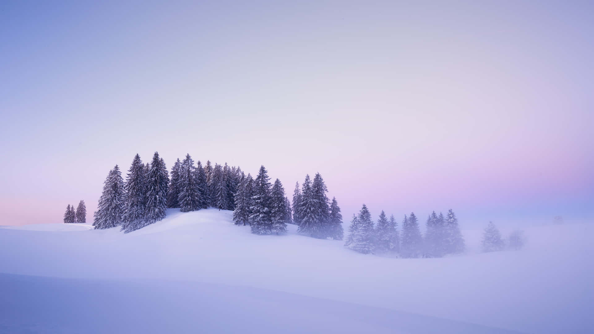  壁紙 — 白雪覆蓋的松樹在霧氣瀰漫的山丘上靜靜佇立，天空呈現柔和的紫色和粉紅色暮色。