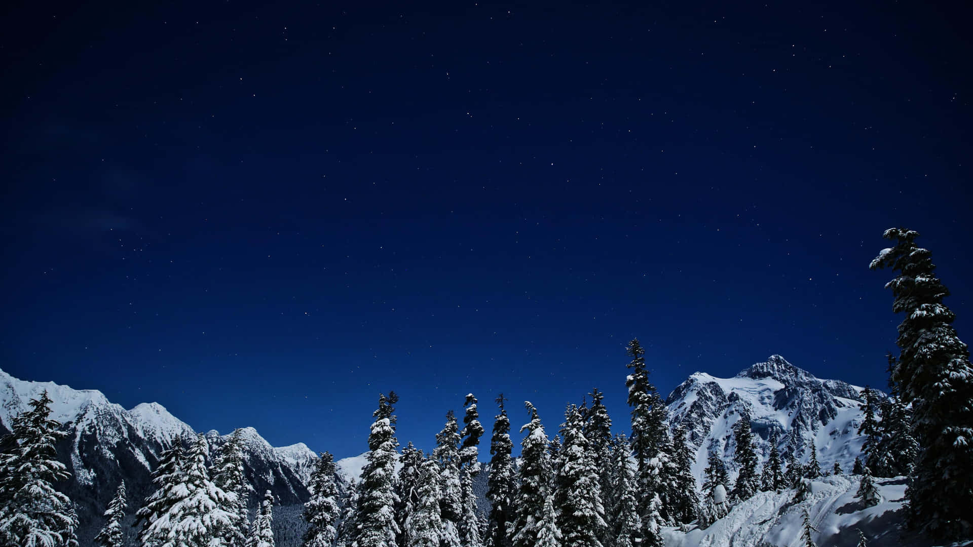  壁紙 — 白雪覆蓋的松樹框住了深藍色天空下雄偉雪山之上的星空夜空。