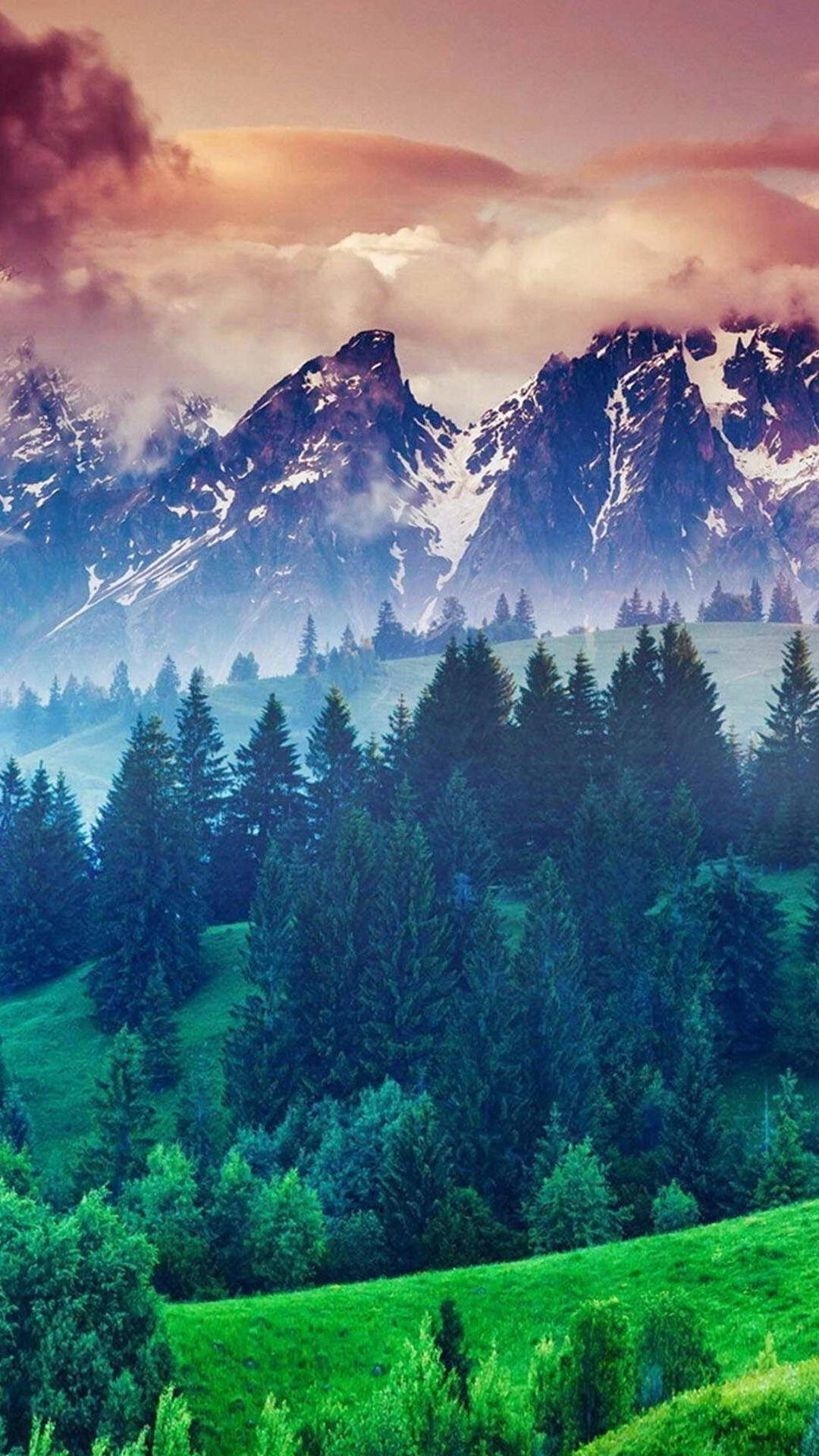 積雪的山峰在松林和起伏的綠色山丘之上，於黃昏時分聳立。