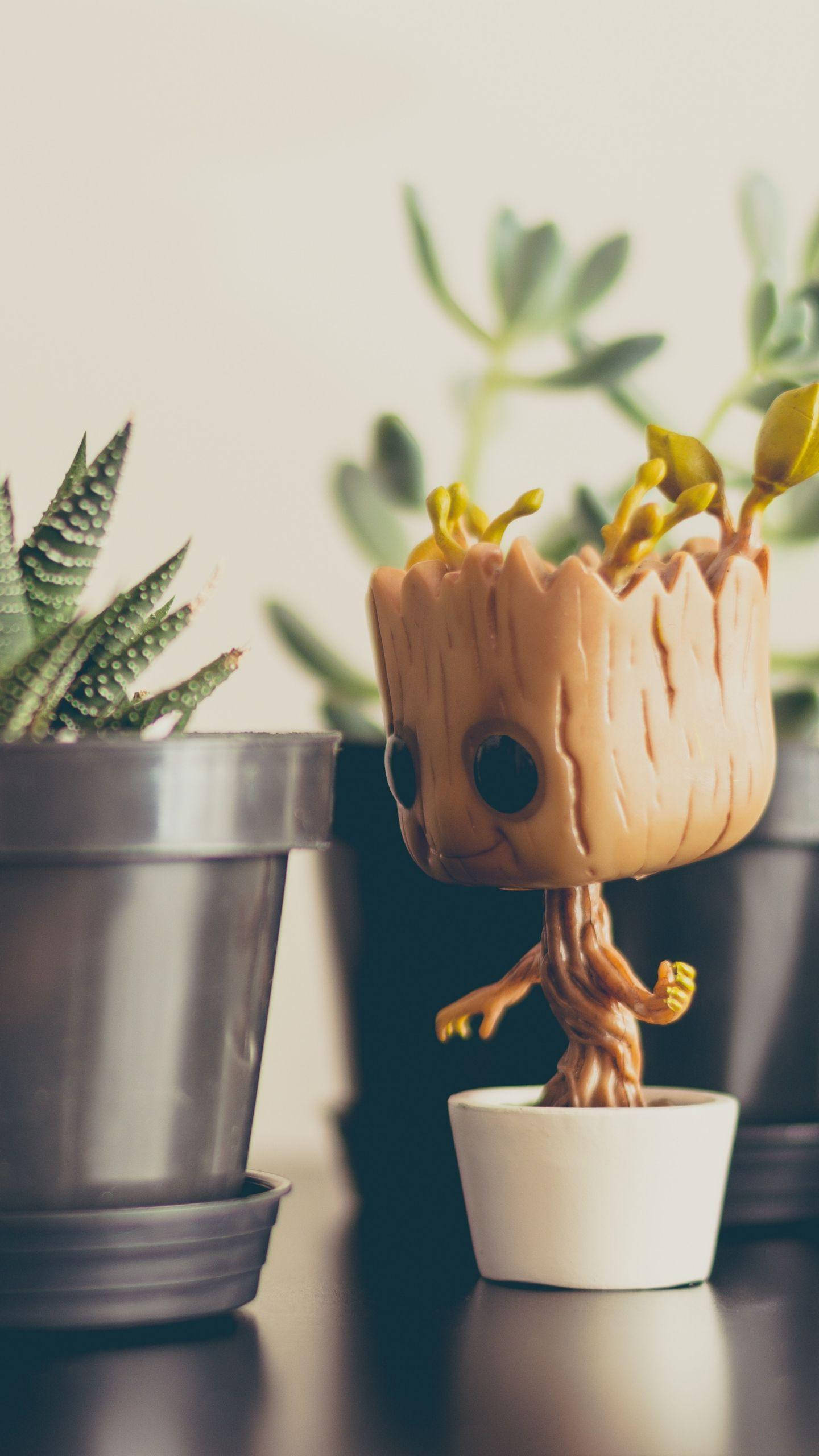 Baby Groot 玩偶 壁紙 — 一個可愛的格魯特公仔放在白色花盆裡，旁邊有一棵多肉植物，放在深色架子上，配以柔和溫暖的燈光。