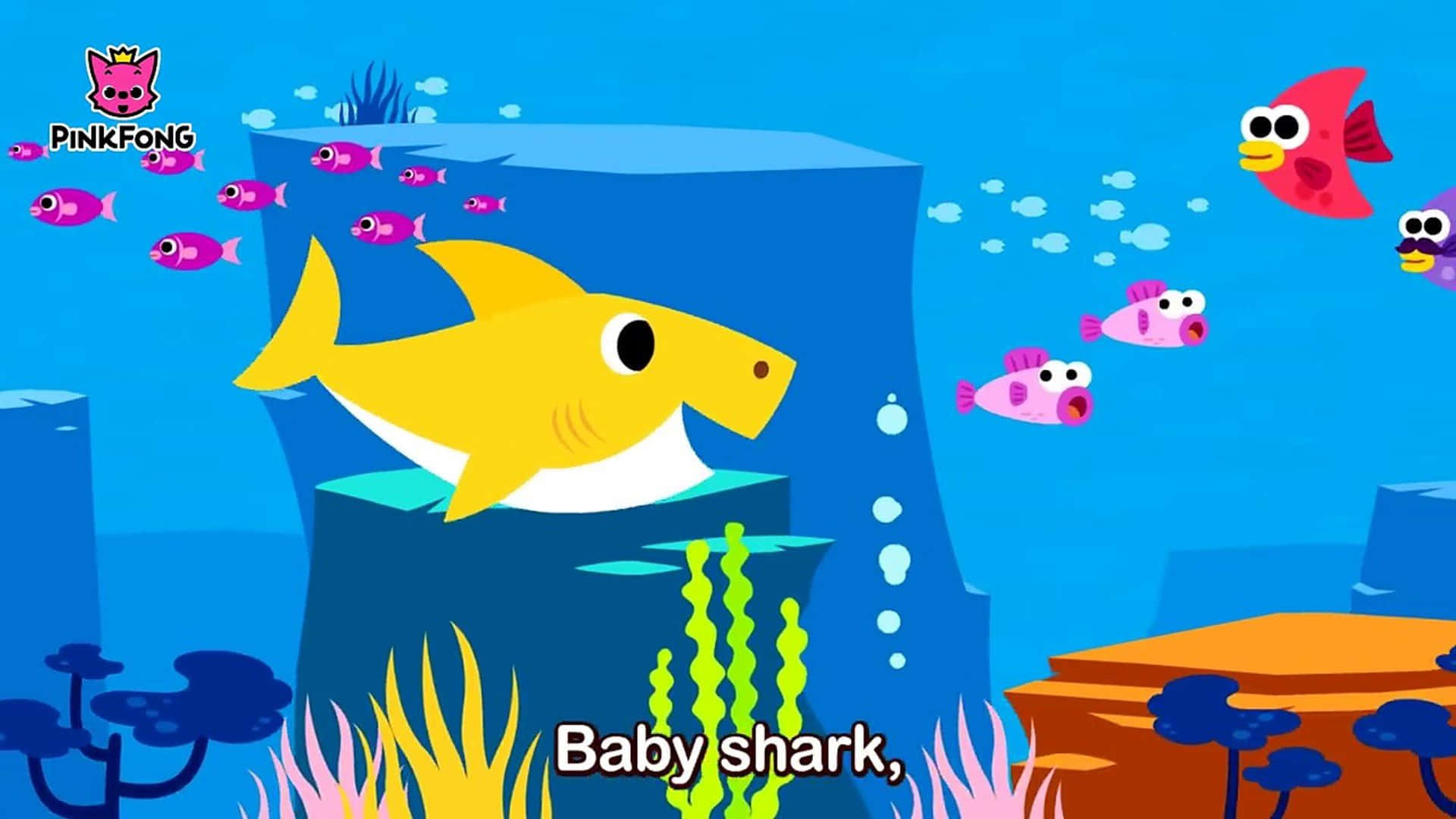 Baby Shark 背景：Baby Shark 歌詞影片中的黃色鯊魚 壁紙 — 一條快樂的黃色鯊魚BB喺明亮卡通海洋場景中，喺珊瑚附近同粉紅色魚一齊游水。