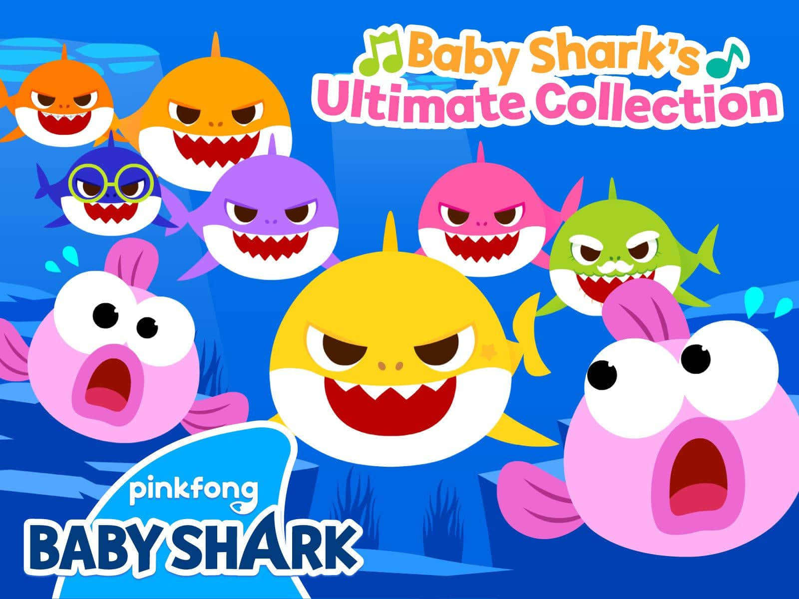 Baby Shark 背景：Ultimate Collection 專輯封面 壁紙 — 色彩繽紛的卡通鯊魚和魚類，有大眼睛和尖牙，在明亮的藍色水下場景中游泳。