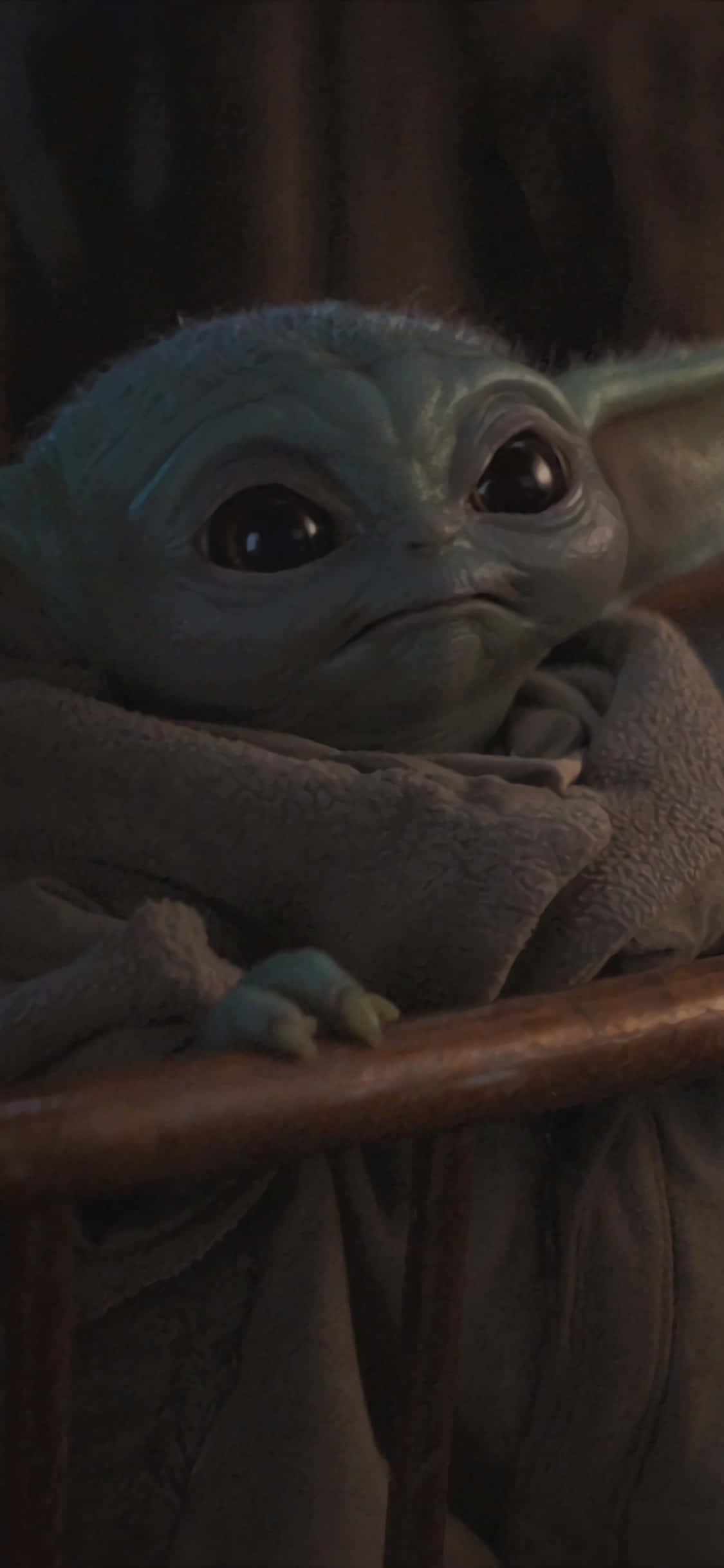 Baby Yoda Zoom 背景 壁紙