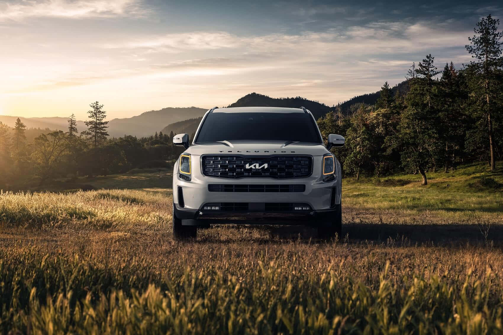 Kia Telluride 桌布 壁紙 — 一輛白色Kia Telluride SUV在日落時分矗立於金色草地上，背景有起伏的山丘和樹木。