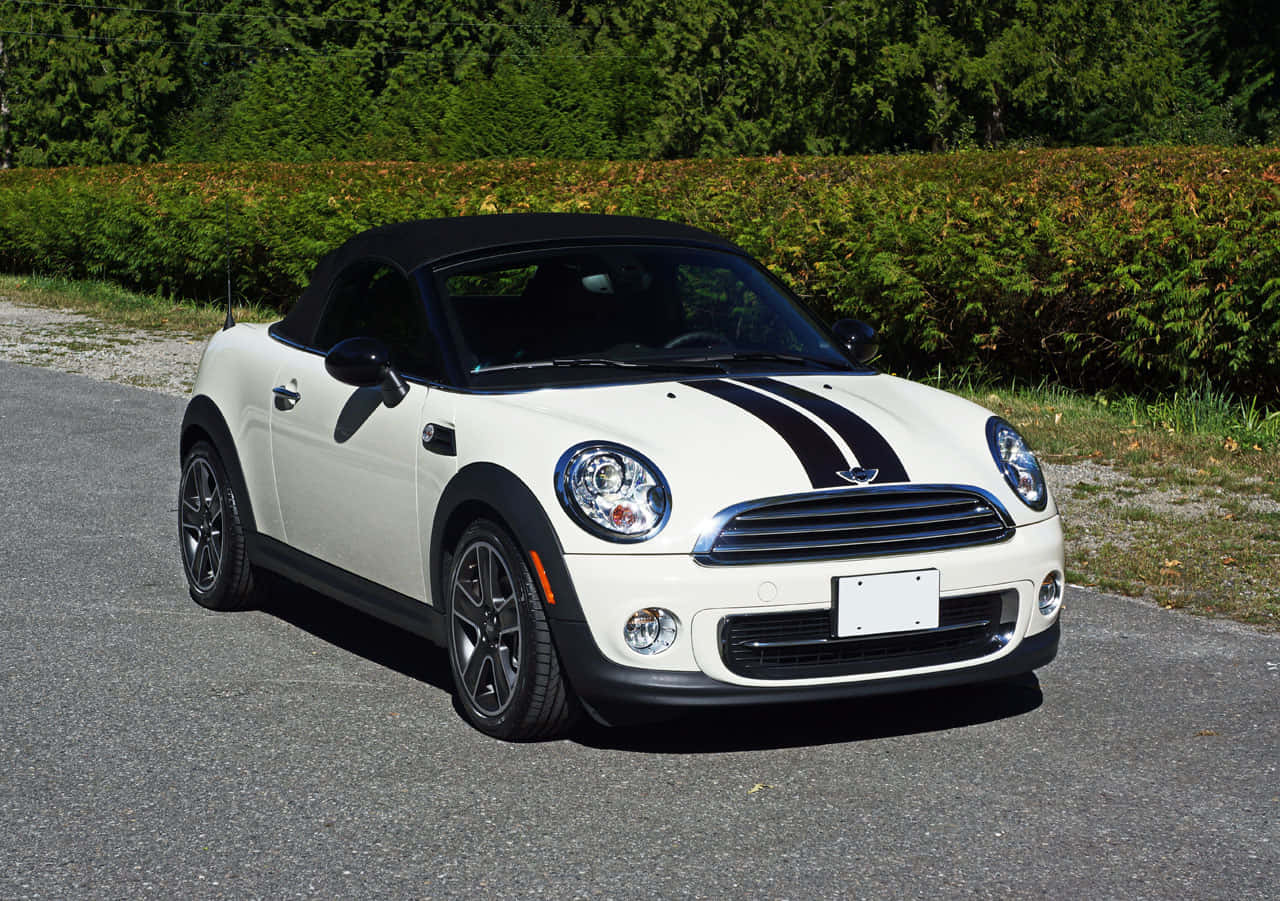  壁紙 — 一輛白色MINI Cooper開篷車，帶有黑色賽車條紋，停在陽光普照下、綠樹籬旁的碎石路上。