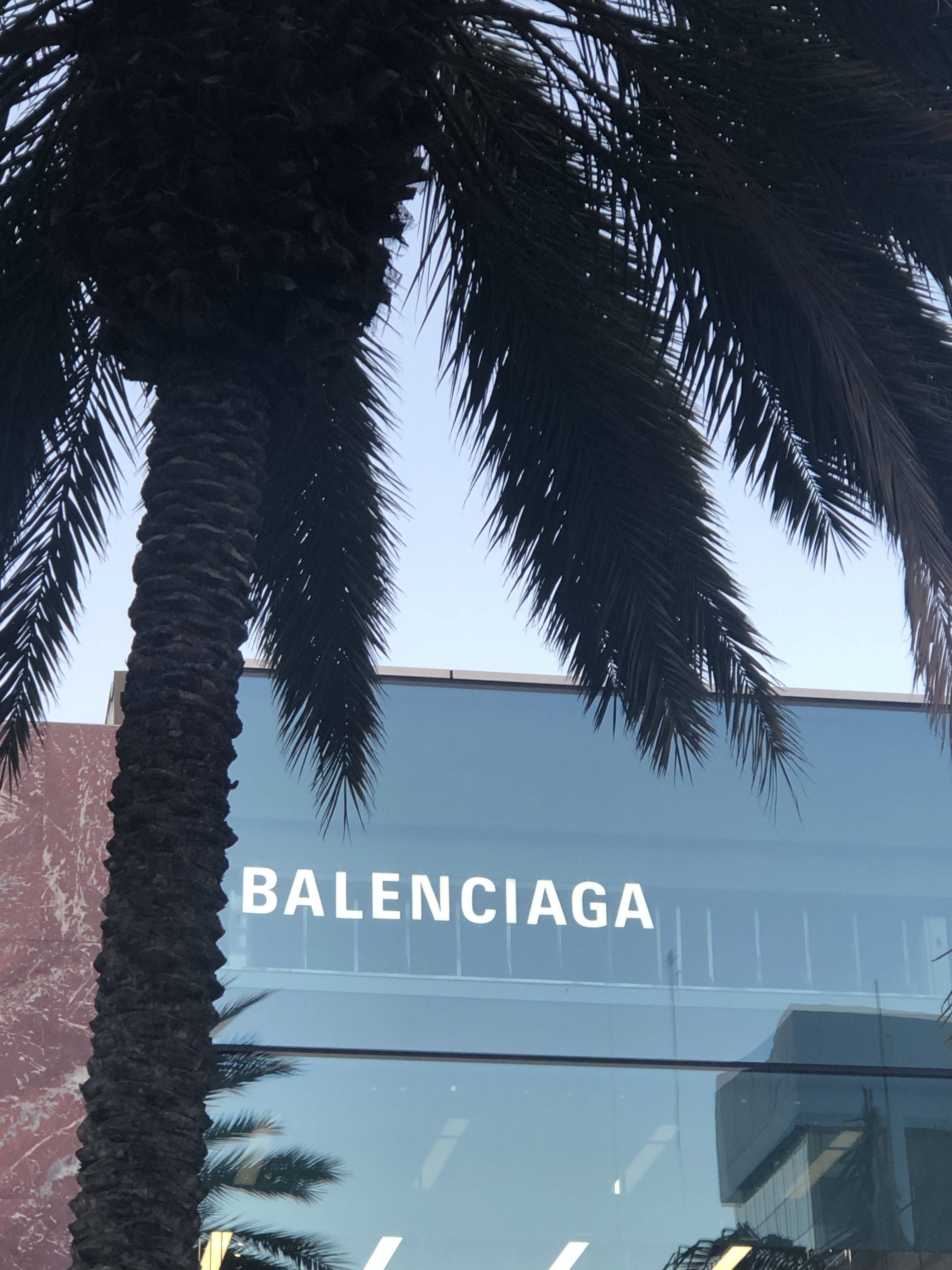 Balenciaga 洛杉磯辦公大樓 壁紙 — 一棵高大的棕櫚樹襯托著一座現代玻璃建築，上面有白色的 Balenciaga 標誌，背景是清澈的藍天。