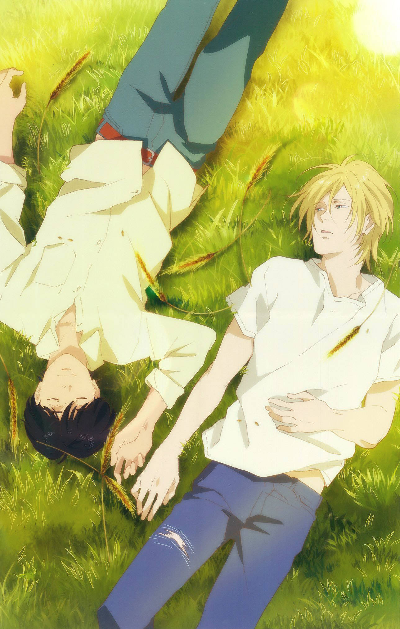 Banana Fish 艾吉與阿什的寧靜時光 壁紙 — 兩個動漫男孩在陽光照耀的草地上休息，一個躺著，另一個坐起來牽手。