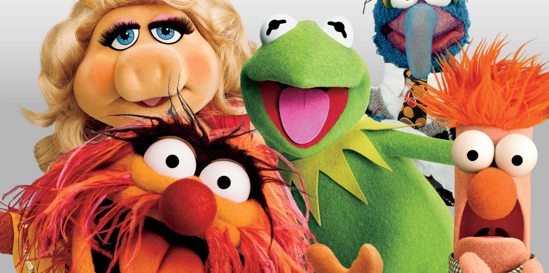  壁紙 — 包括Kermit、Miss Piggy和Animal在內的著名Muppet角色，在純色背景前以明亮多彩的表情一起擺姿勢。