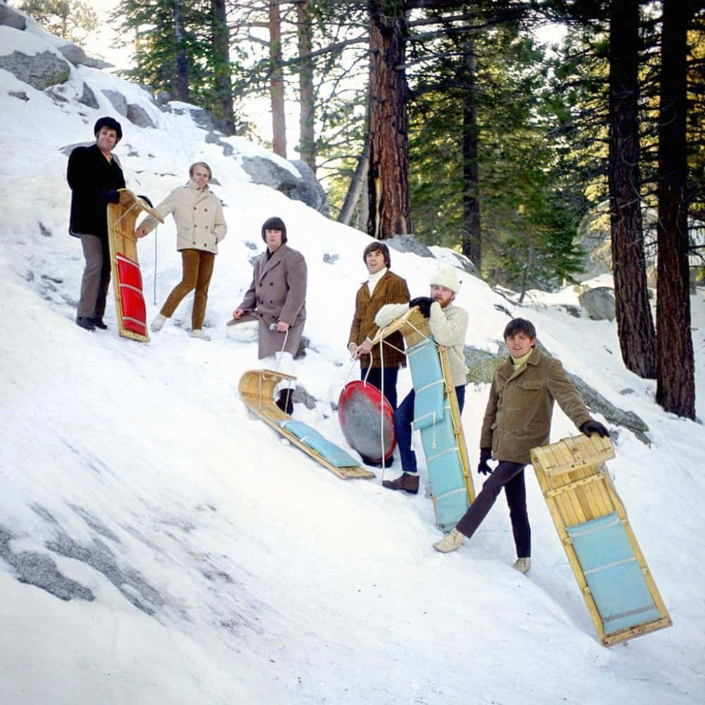 六個人在松樹林中帶著雪橇走上白雪覆蓋的山坡。
