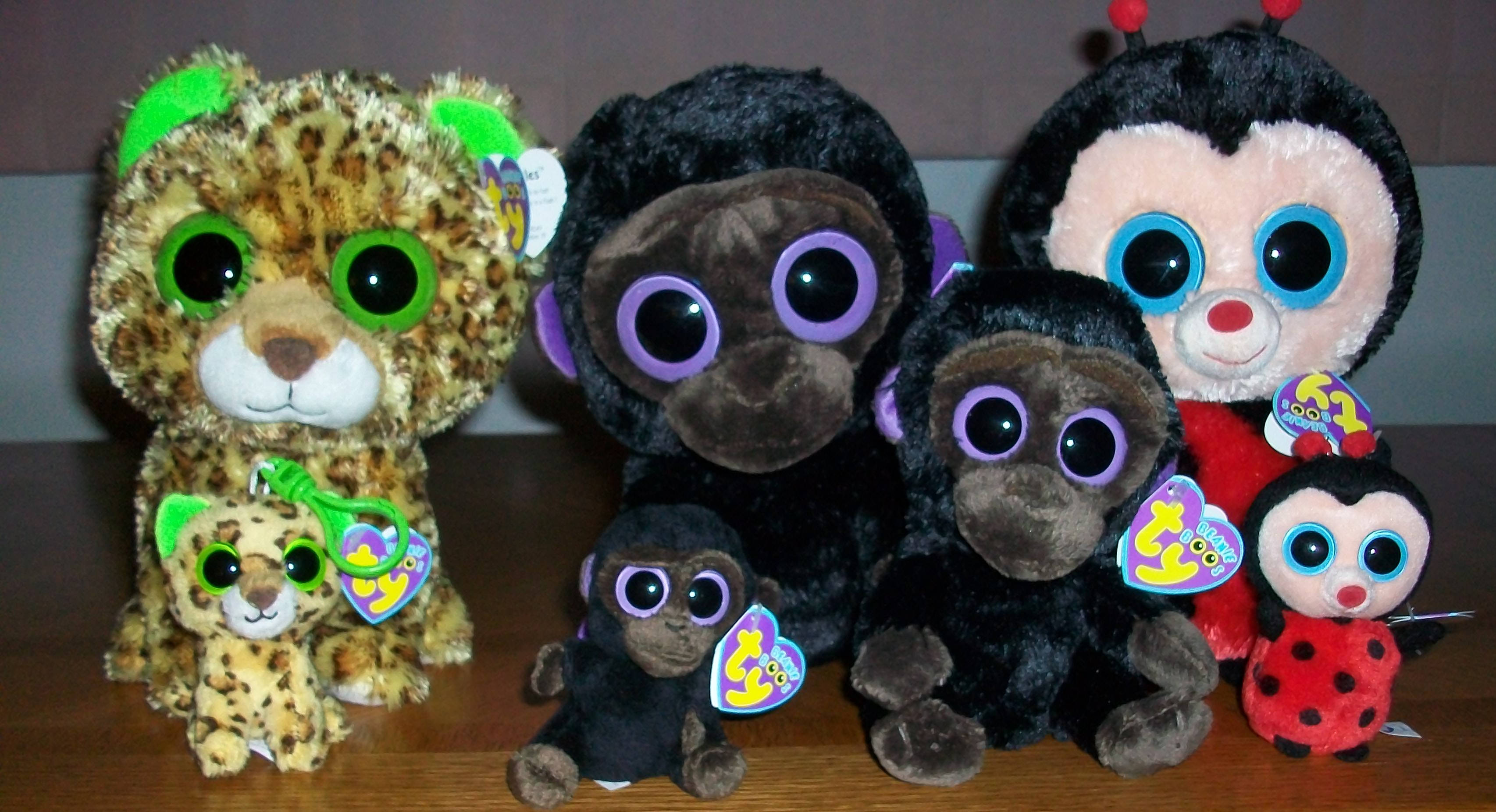 Beanie Boos 家庭組合 壁紙 — 一群Ty Beanie Boo毛絨玩具，包括豹、猴子、瓢蟲和黑猩猩角色，擁有超大眼睛，坐在木質表面上。