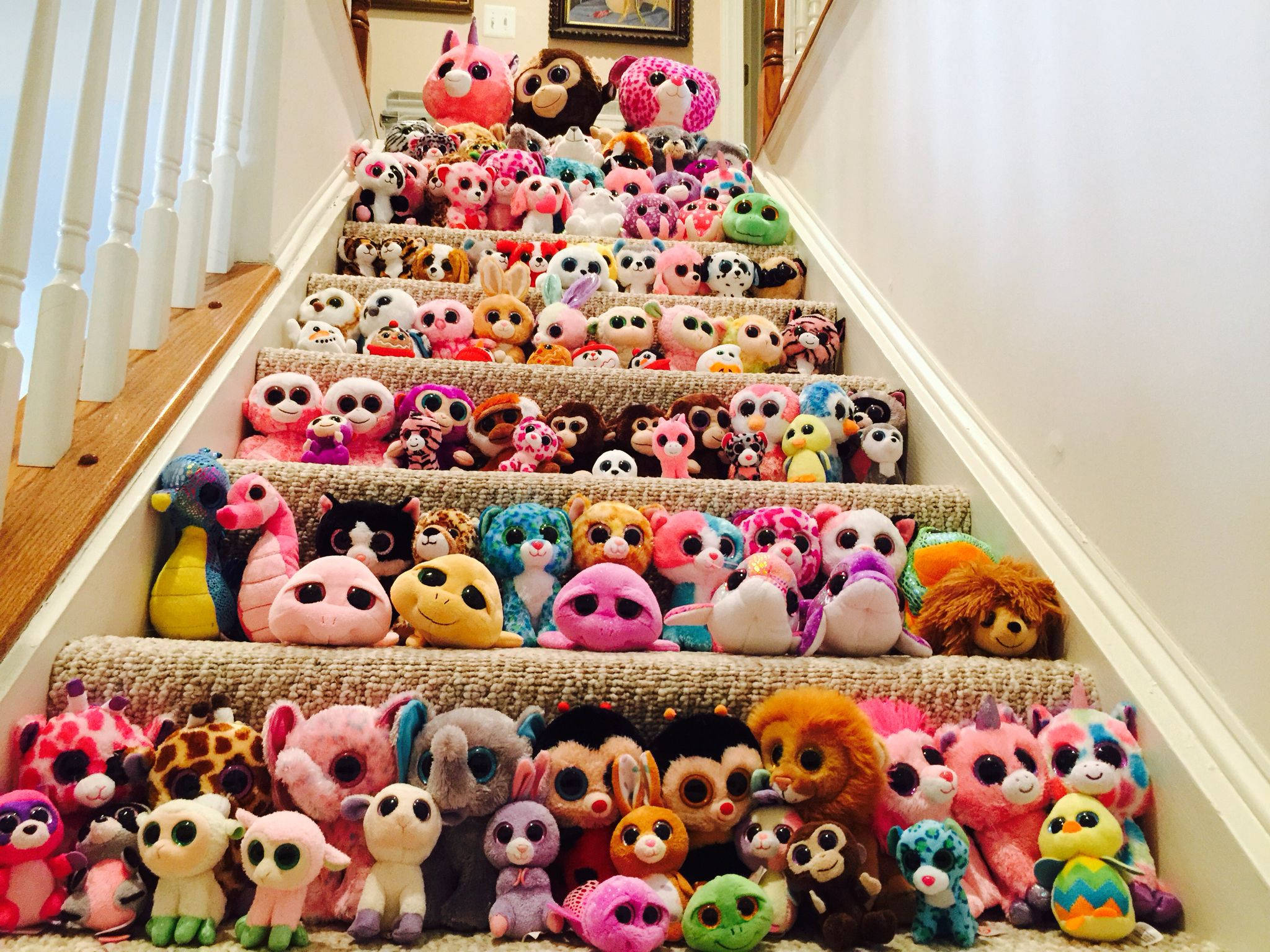 Beanie Boos 樓梯展示 壁紙 — 一條樓梯鋪滿數百個色彩繽紛的毛絨玩具，在家中走廊營造出充滿活力的趣味展示。
