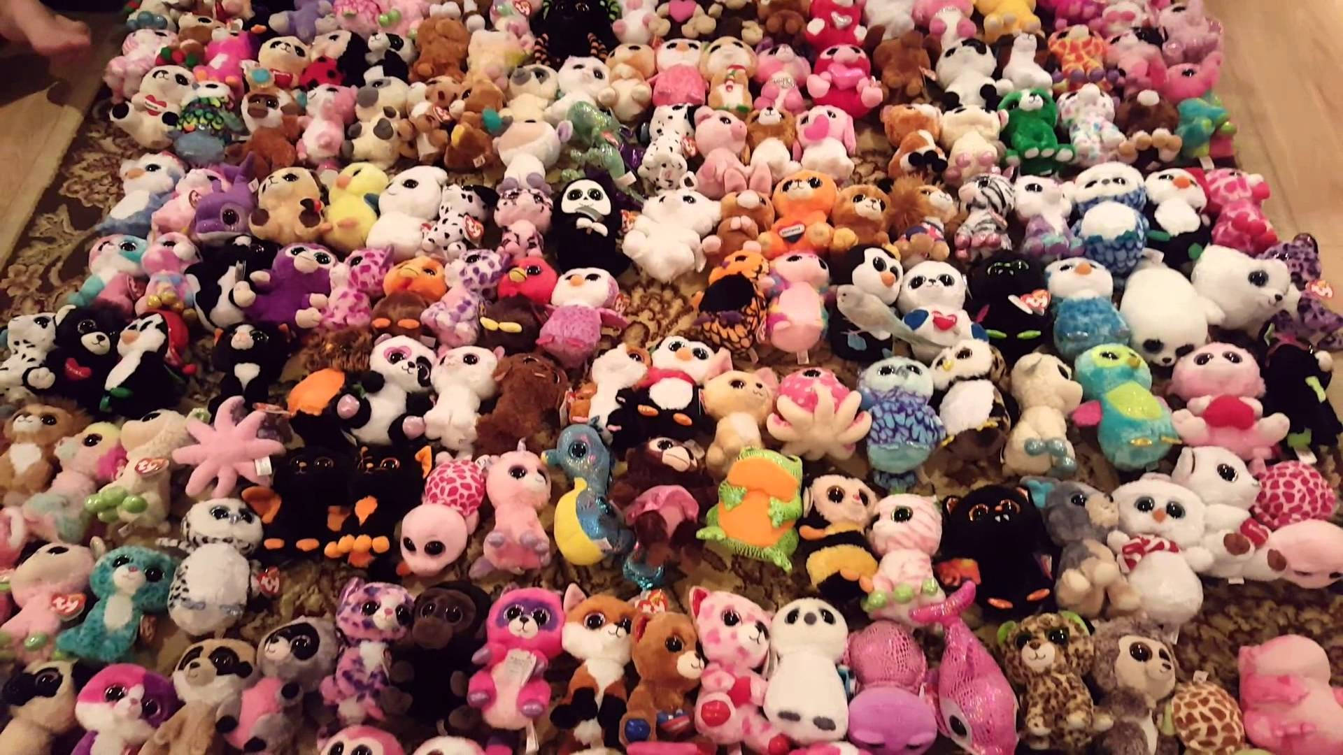 Beanie Boos 毛絨玩具收藏 壁紙 — 一個由各種形狀和圖案的彩色毛絨玩具組成的密集地毯充滿了畫面。