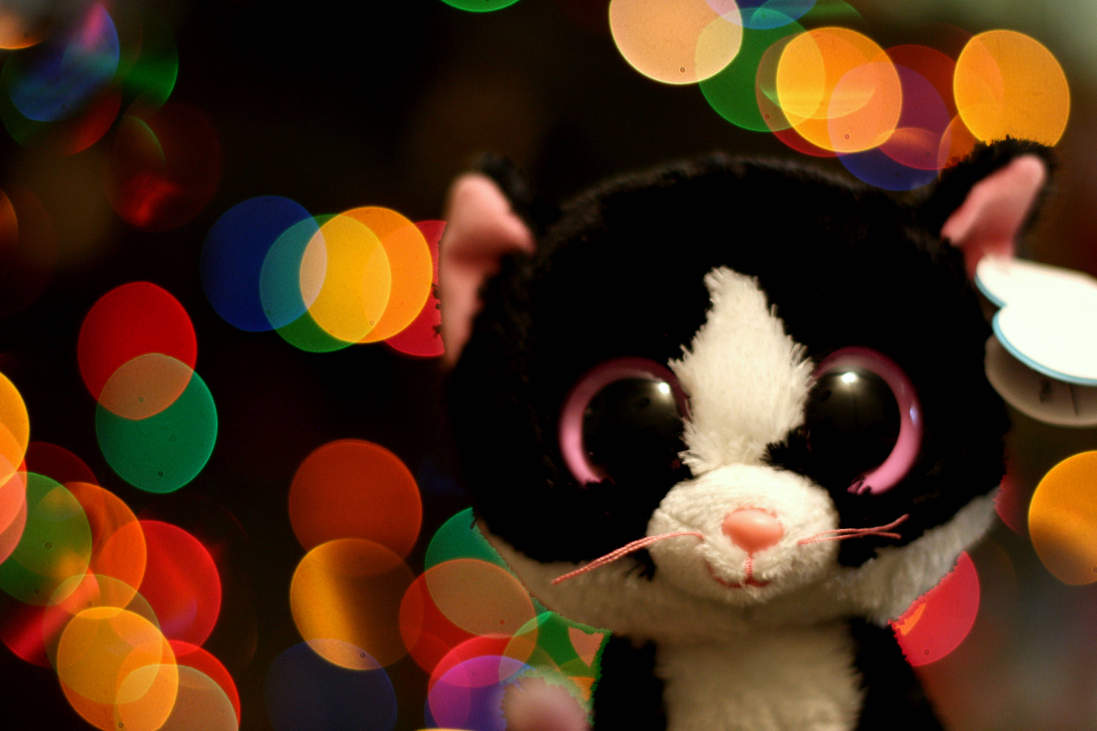 Beanie Boos可愛小貓集合 壁紙 — 一個黑白毛絨貓玩具的特寫，有大大的粉紅色邊框眼睛，背景是色彩繽紛的散景。