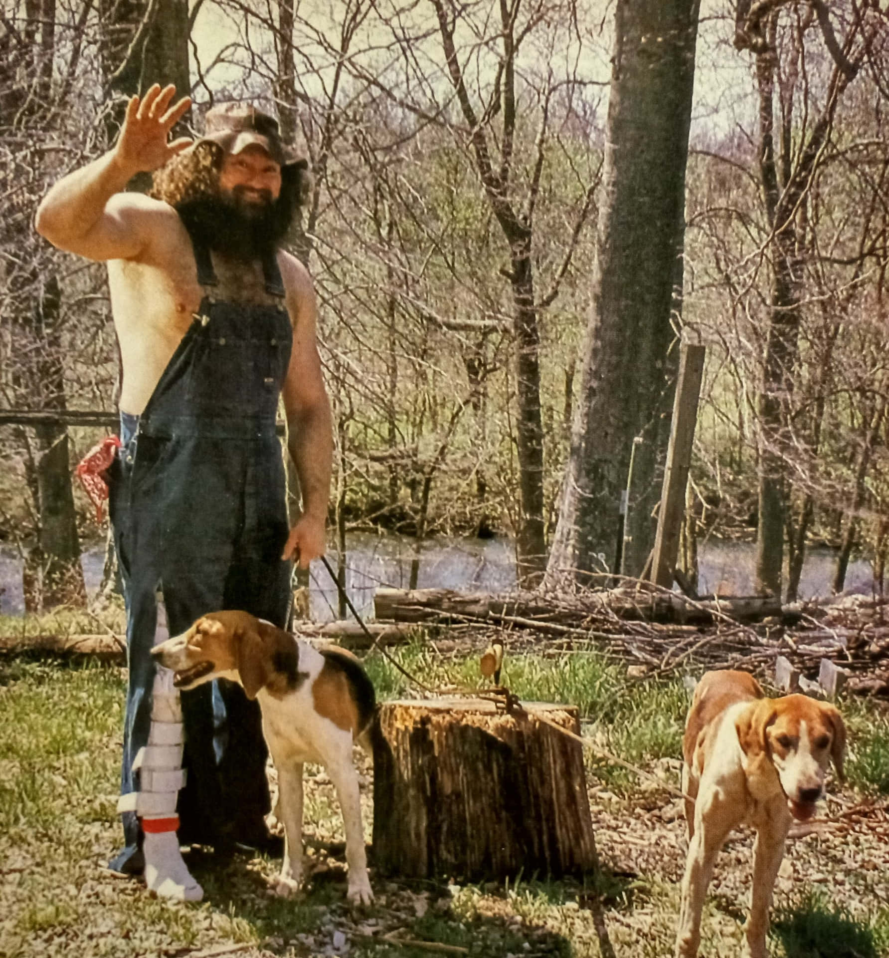  壁紙 — 一位鬍鬚男穿著工裝褲，在陽光明媚的森林空地中，靠近樹樁旁與兩隻獵犬揮手。
