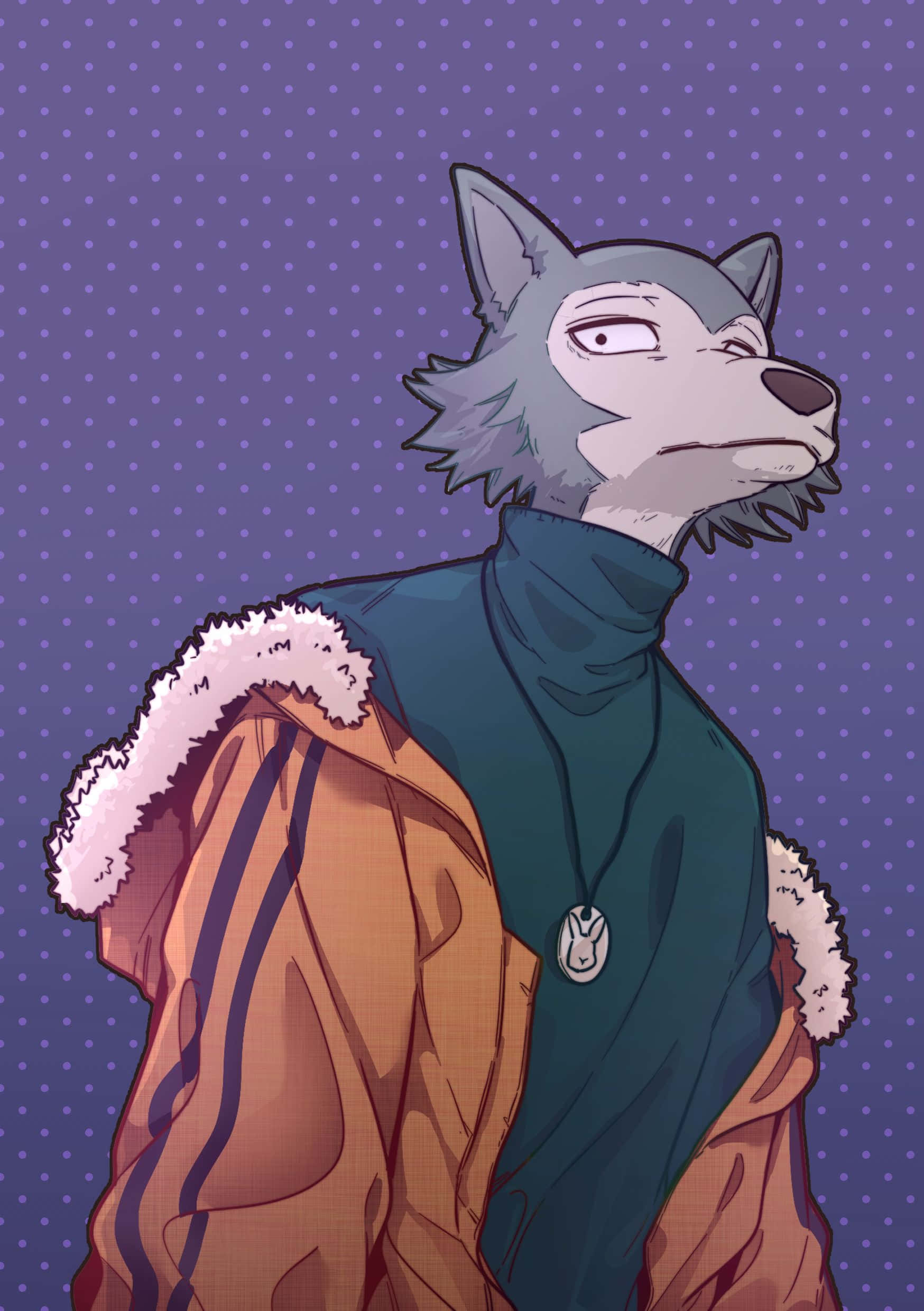 《BEASTARS》中的雷戈西 壁紙 — 一隻灰色擬人化狼，身穿青綠色高領毛衣和橙色外套（白色毛邊），站在紫色圓點背景前。