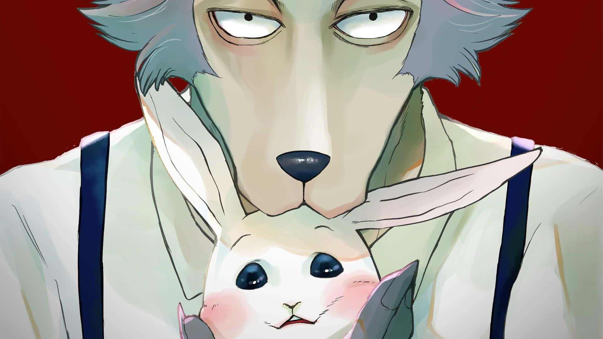 「BEASTARS 中的接受與掙扎」 壁紙 — 一個嚴肅的狼樣動漫角色在深紅色背景前抱著一隻大眼睛的粉紅色小兔子。