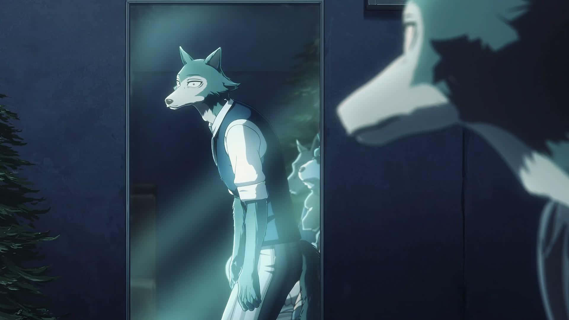 《Beastars》迎來光明未來 壁紙 — 一個像狼的動漫角色站在門口，沐浴在冷藍色的光中，從背後被另一個陰影人物觀看。