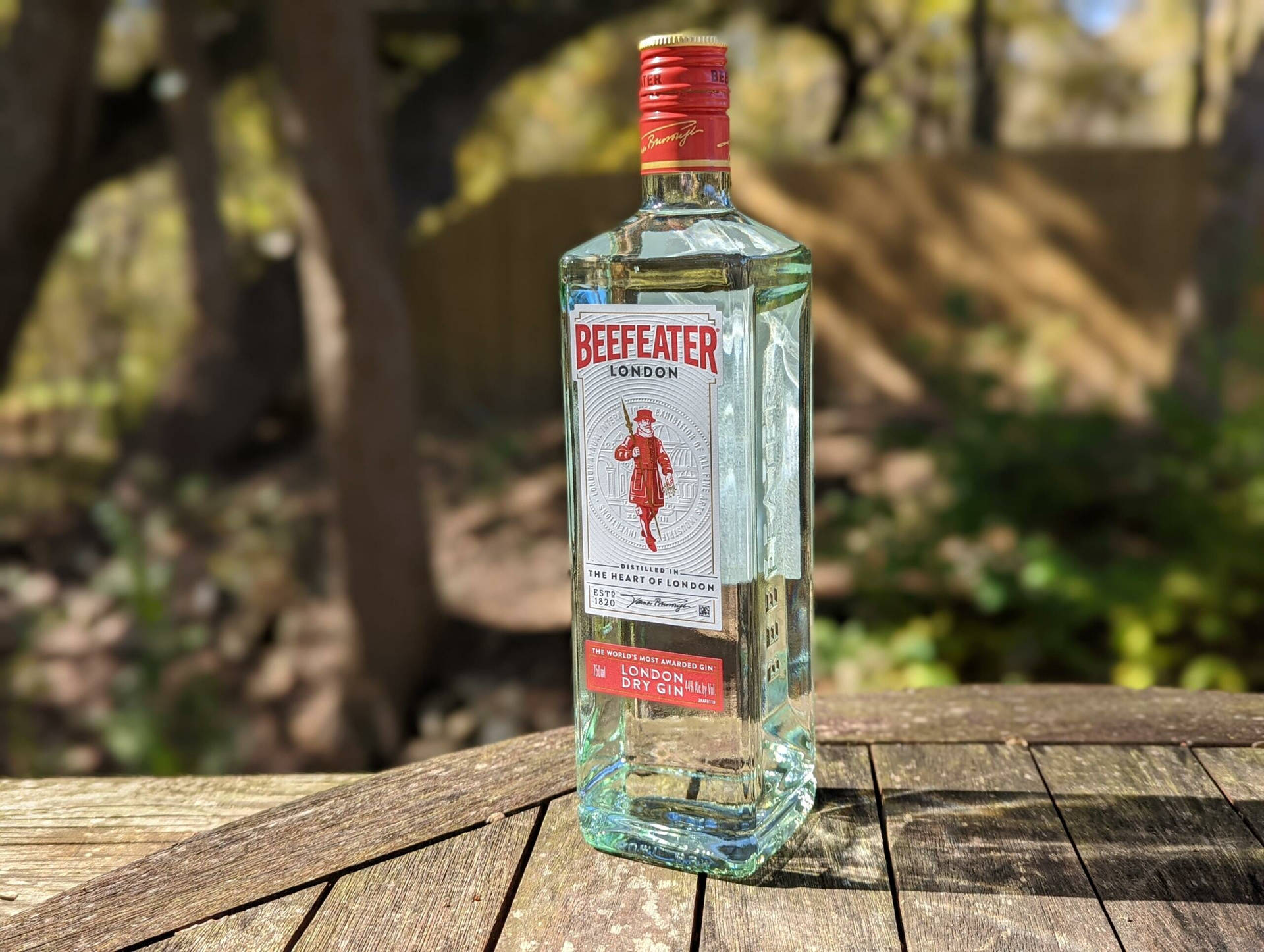陽光戶外環境中木桌上的必富達氈酒瓶