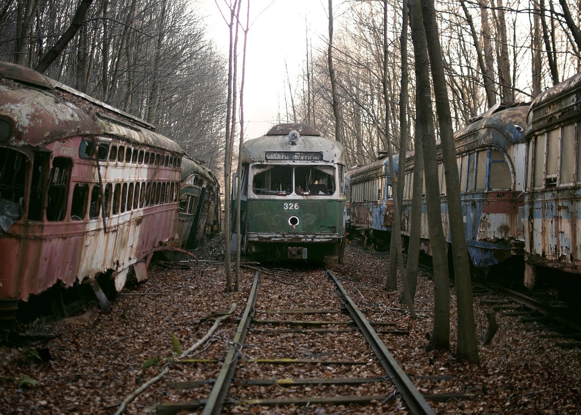  壁紙 — 被遺棄的生鏽火車車廂被遺忘在冬季光禿禿的樹木之間，長滿雜草的軌道上。