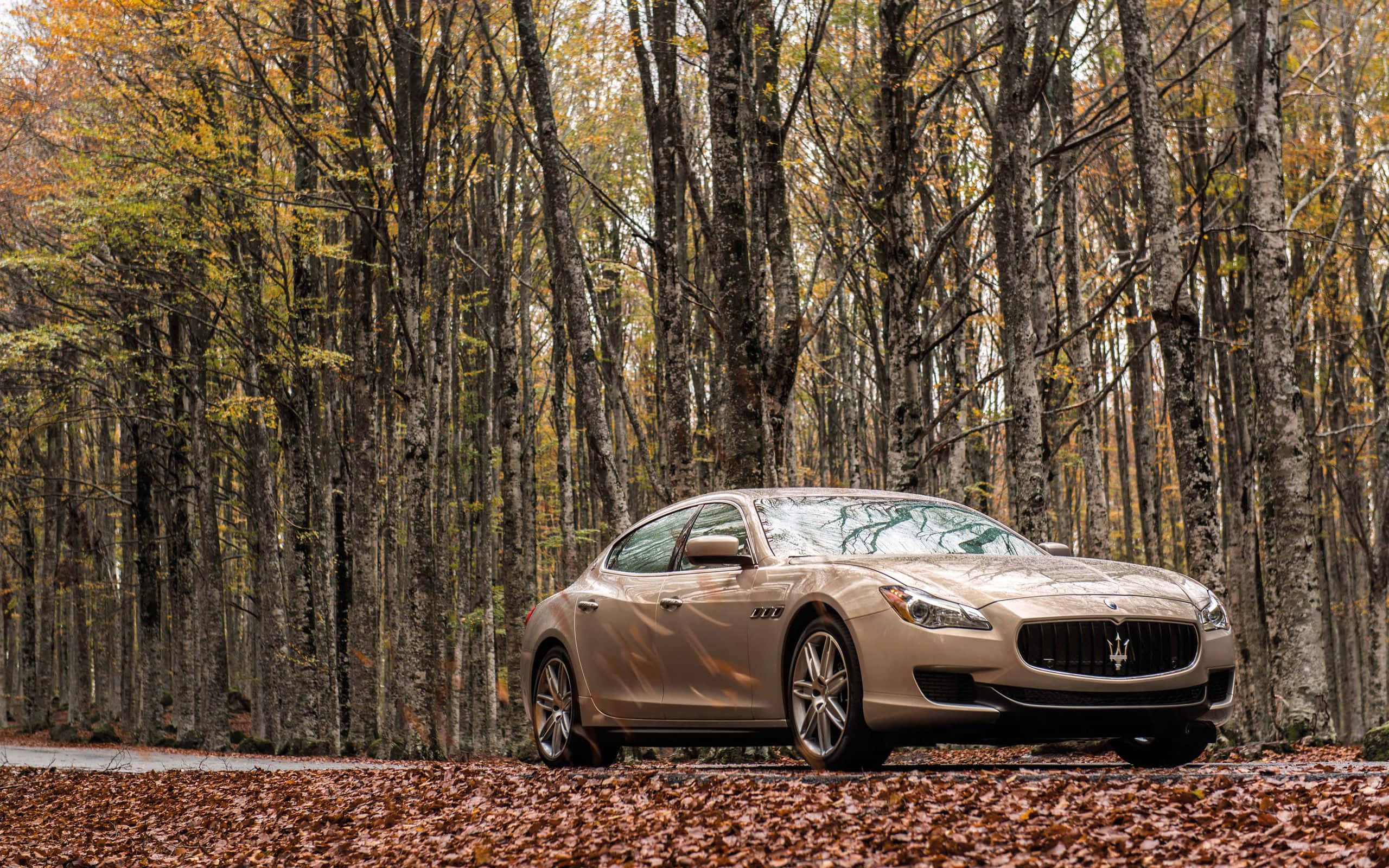 Maserati Ghibli 桌布 壁紙 — 一輛米色瑪莎拉蒂房車停在舖滿落葉的森林道路上，周圍是高聳的樹木，呈現秋葉景色。