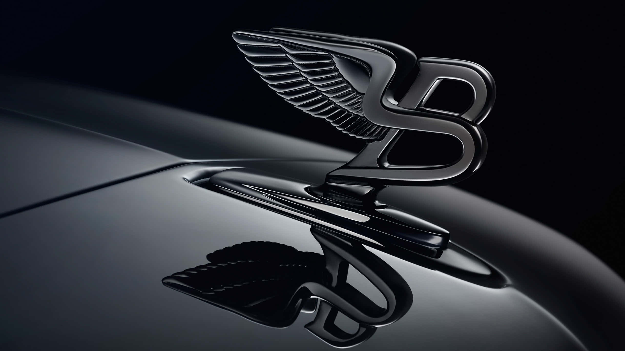 以經典風格享受奢華生活 — Bentley 壁紙 — 在攝影棚燈光下，一個光滑的黑色賓利引擎蓋立標帶翅膀在亮面引擎蓋上閃耀。