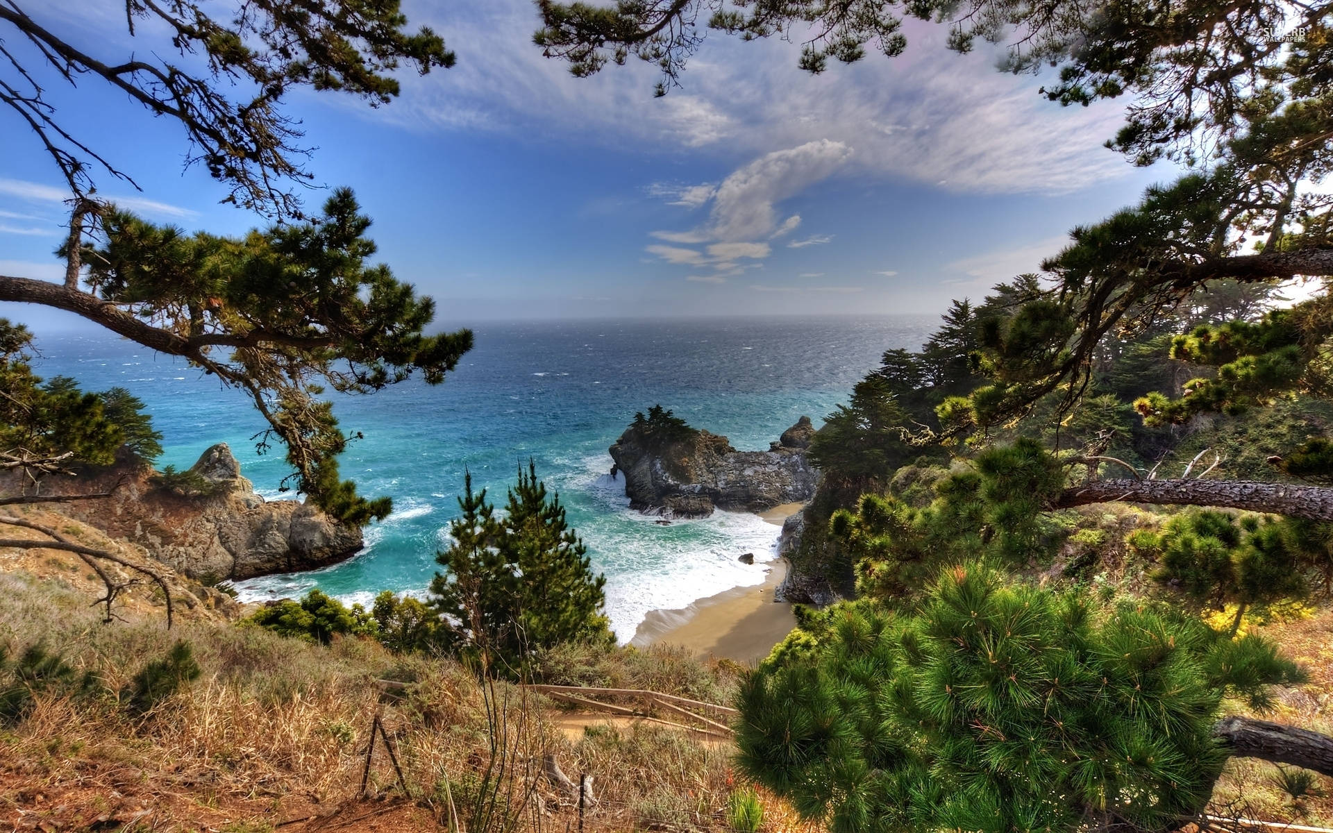Big Sur 海景被樹木框圍 壁紙 — 充滿活力的海岸景色，碧綠的海浪拍打岩石海岸，被茂密的綠色松樹環繞，在明亮的藍天下。