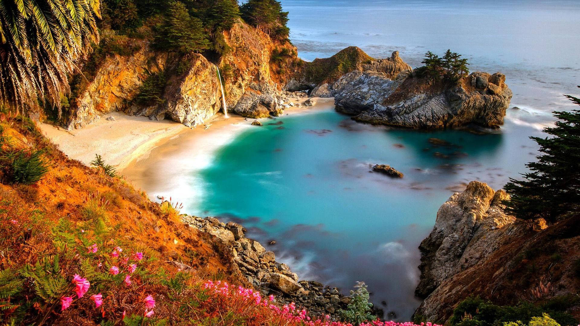 Big Sur 金色時刻清澈藍水 壁紙 — 一個隱蔽的小海灣，擁有碧綠的海水和金色的懸崖，周圍環繞著粉紅色的花朵和棕櫚樹。