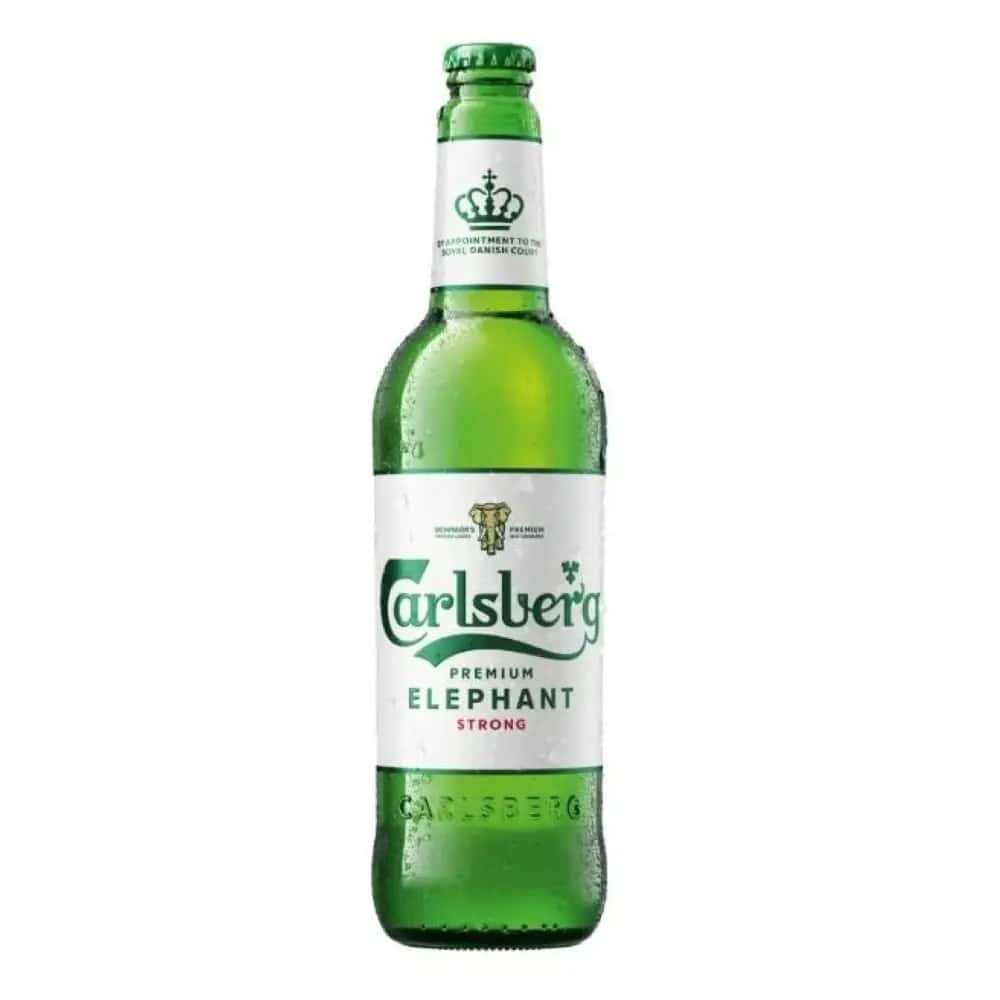  壁紙 — 冰凍的綠色Carlsberg Premium Elephant Strong啤酒瓶，帶有冷凝水滴，置於白色背景上。