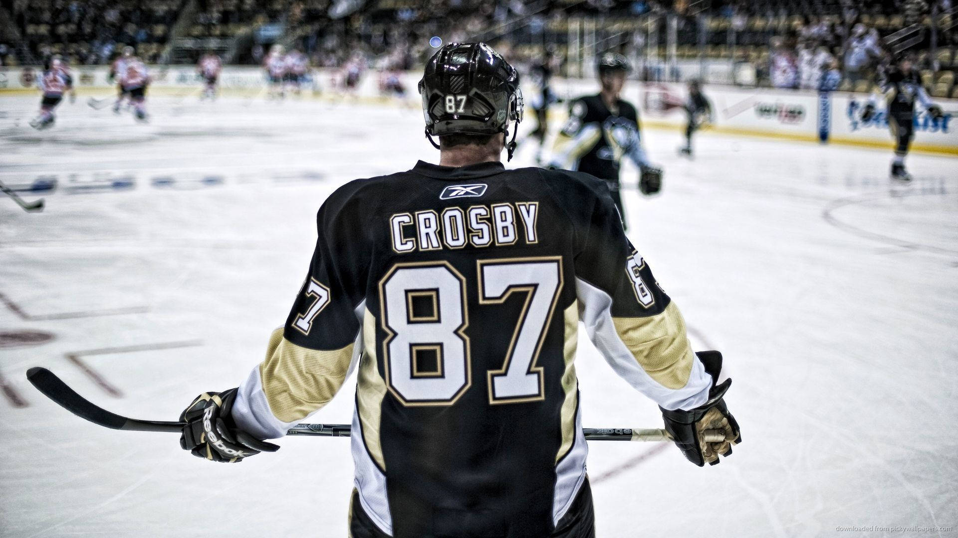 冰球員西德尼·克羅斯比匹茲堡企鵝隊 壁紙 — 冰球運動員Crosby 87號站在冰場上，手持球棍，背景是場館觀眾。