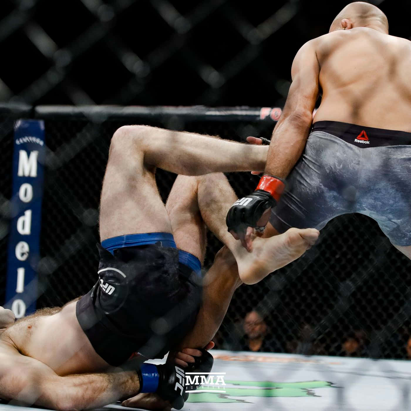 BJ Penn對決Ryan Hall於UFC 232 壁紙 — 兩名MMA拳手在八角籠內激烈纏鬥，背景有鐵絲網和模糊的觀眾。
