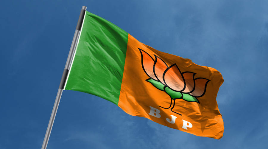 BJP黨旗在藍天下隨風飄揚。