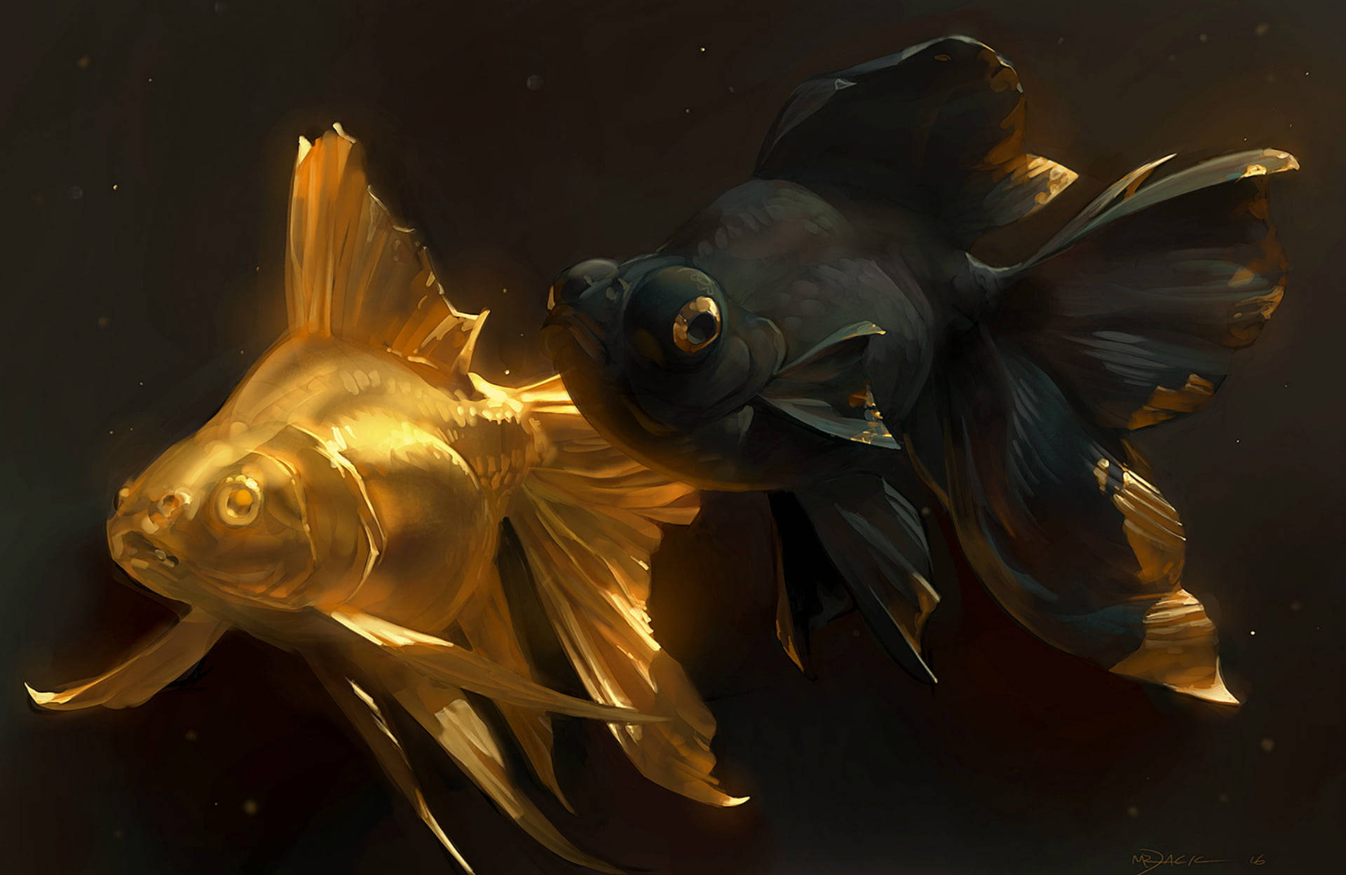 黑金鯉魚